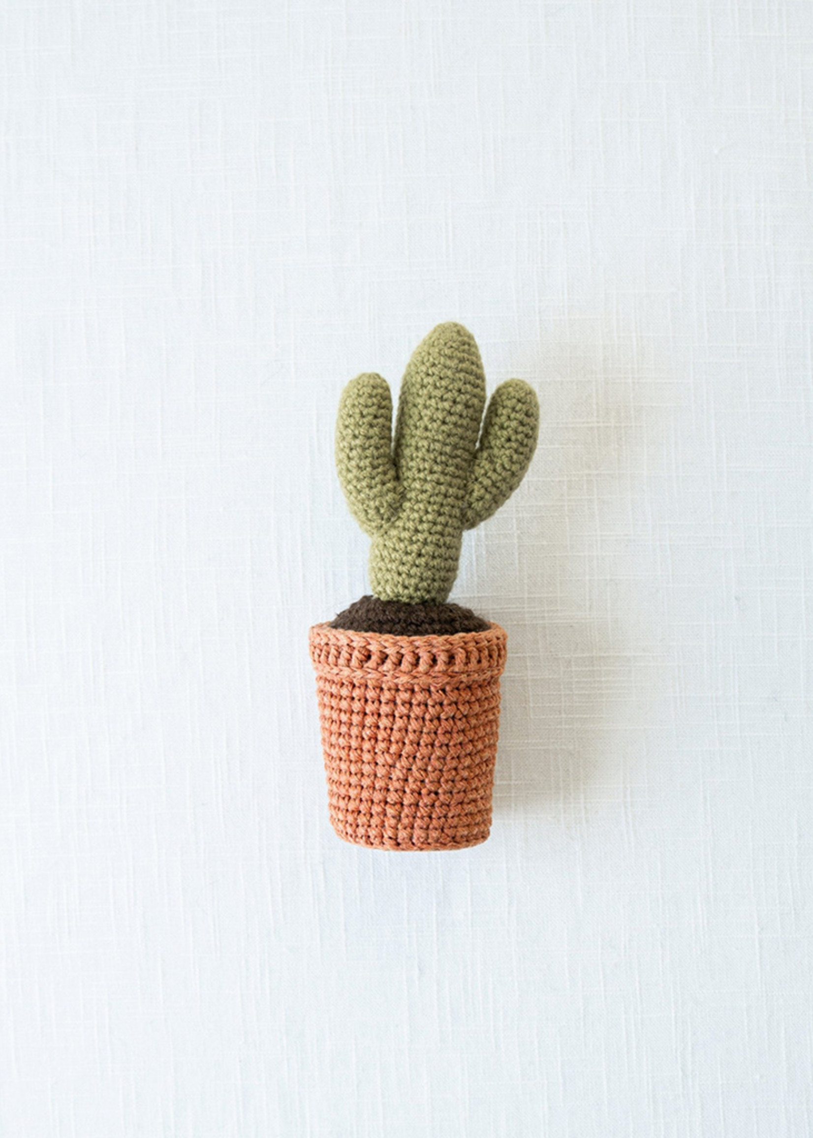 Andes Gifts Green Knit Cactus Plant