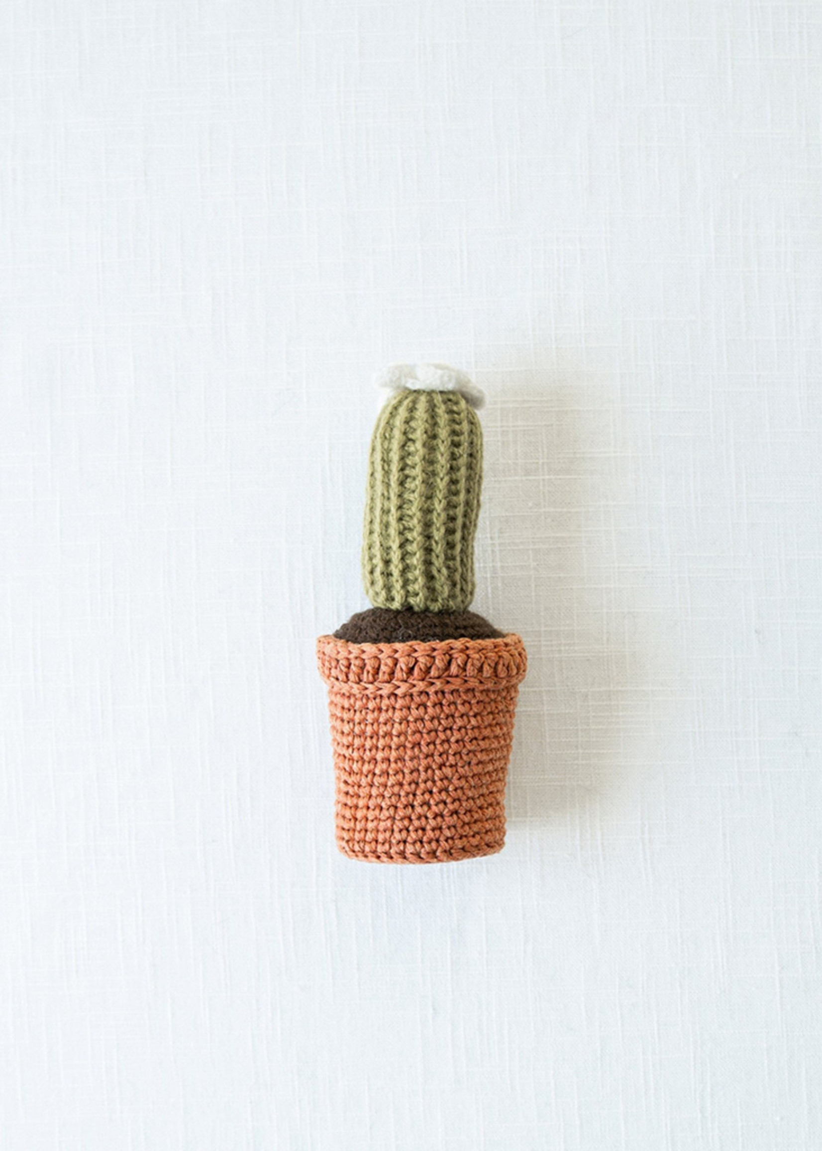 Knit Cactus Plant & White Flower