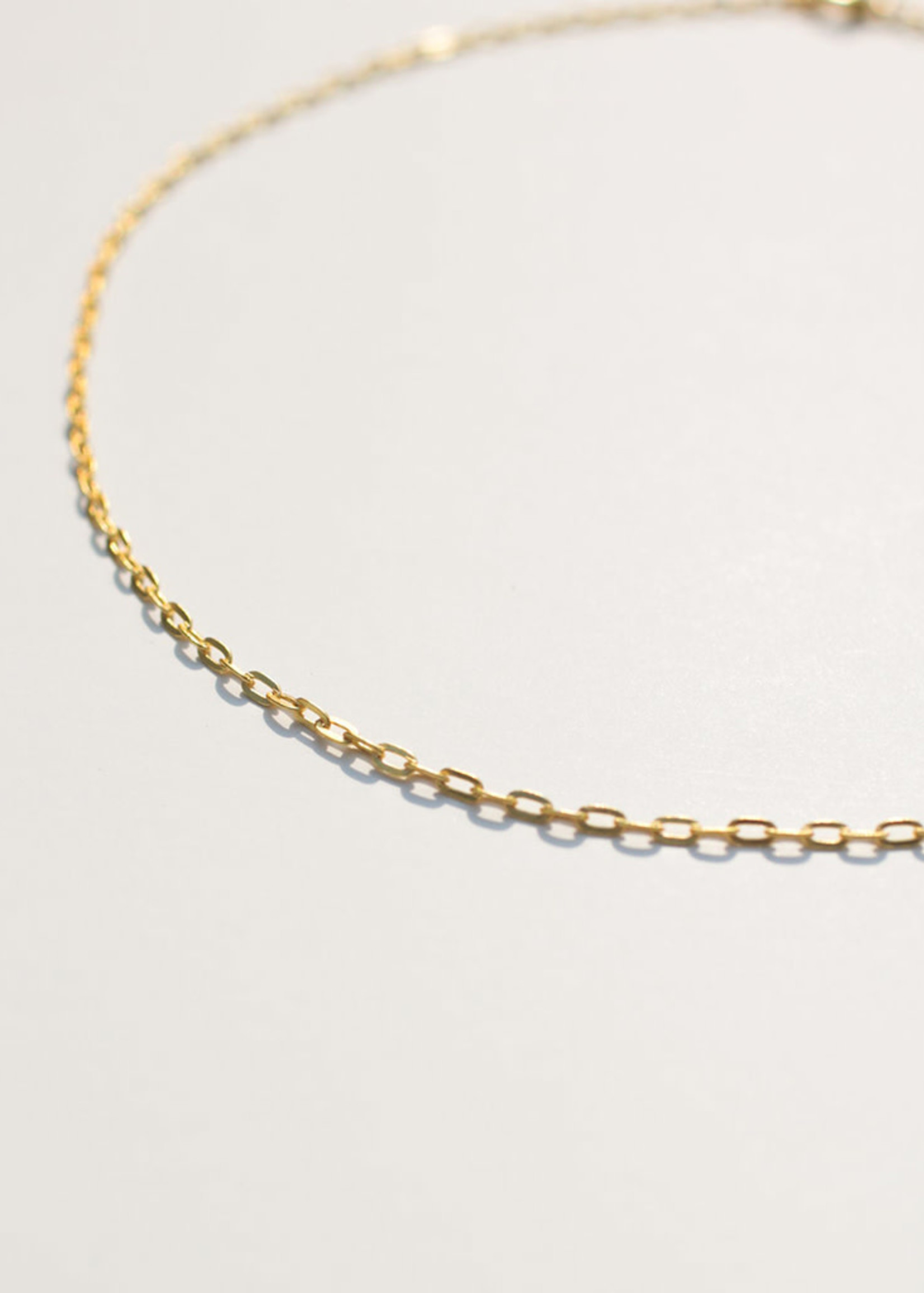 Rover & Kin Paperclip Chain Necklace