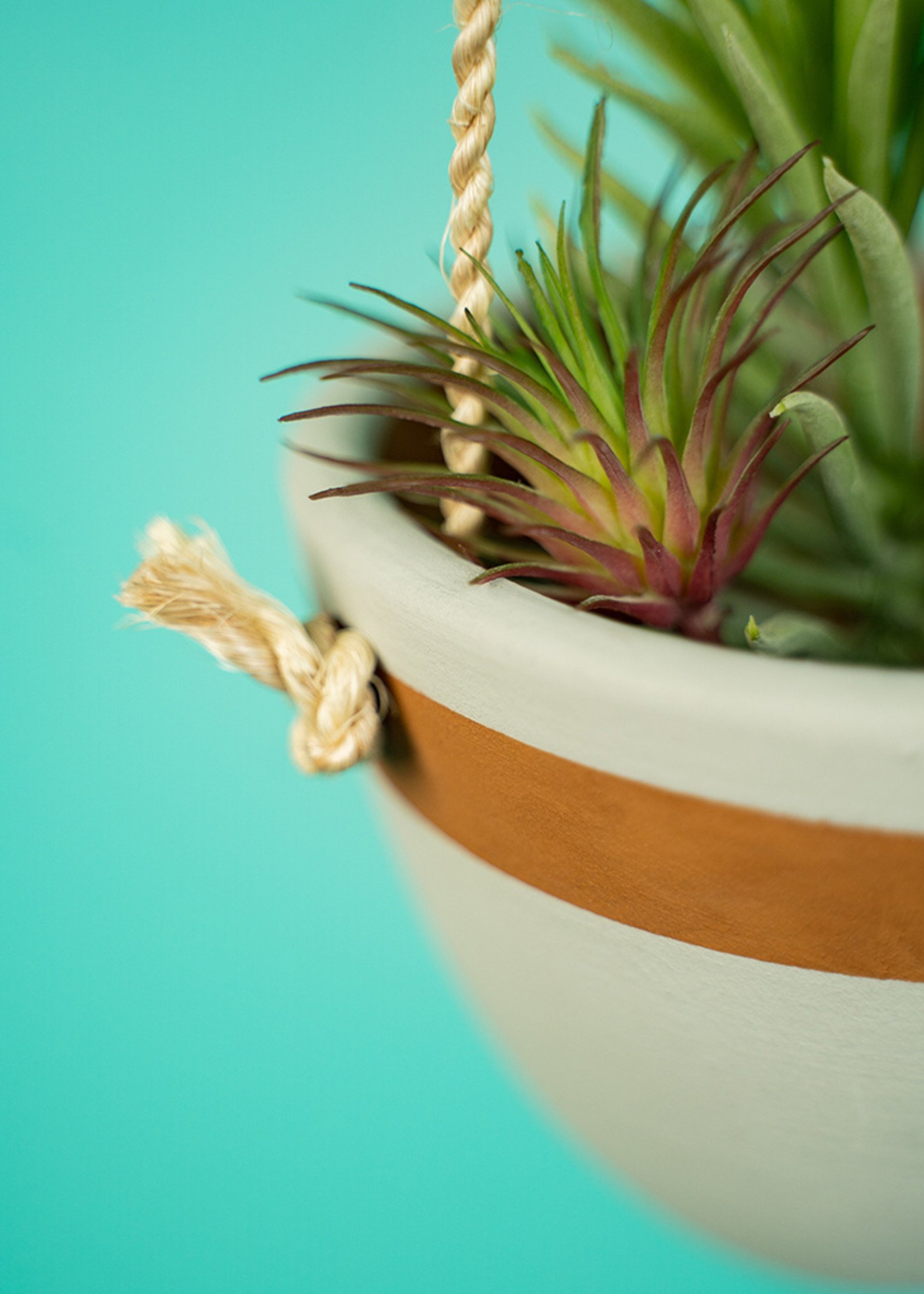 Small Gray Cone Hanging Planter