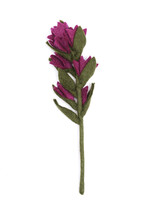 Global Goods Partners FINAL SALE - Felt Indian Paint Brush Flower