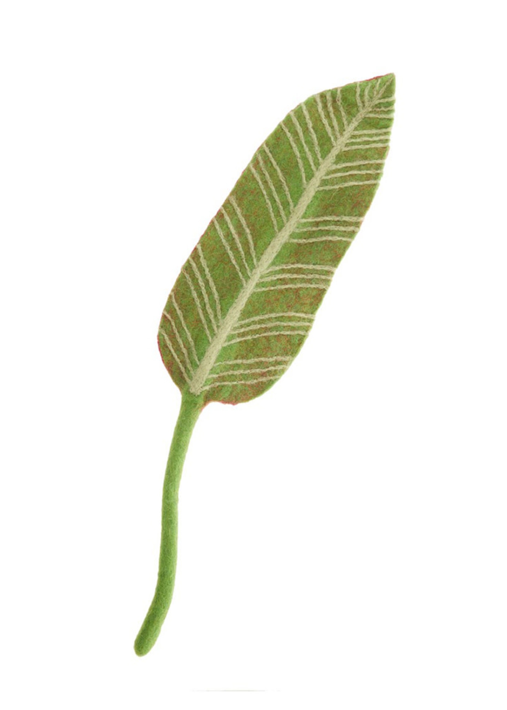 Global Goods Partners Felt Calathea Leaf