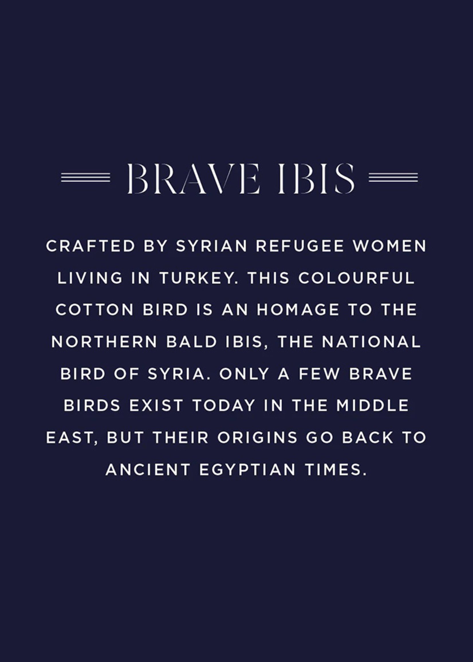 African Modern FINAL SALE - Brave Ibis Bird Ornament