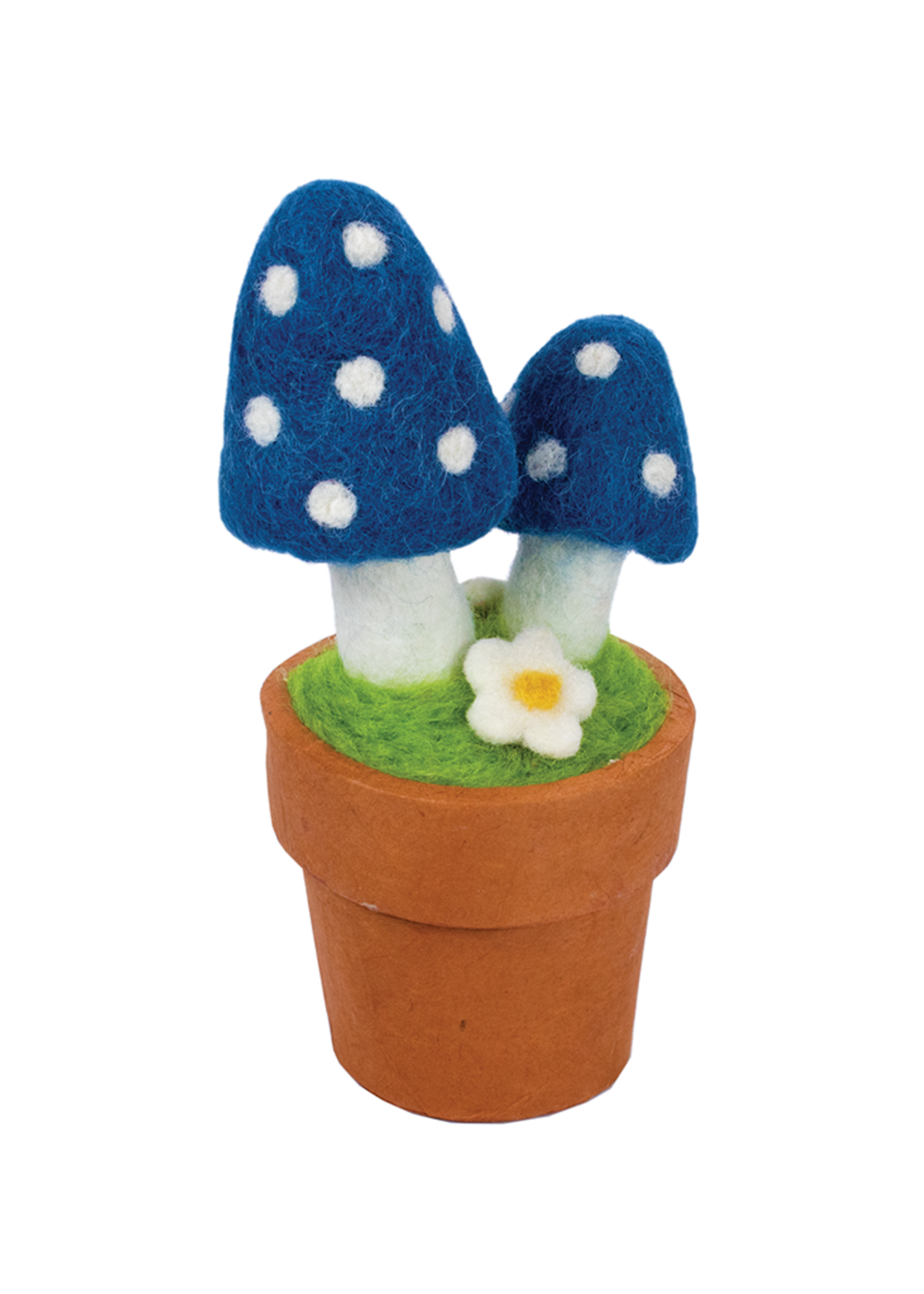 dZi Blue Magic Mushroom Potted Plant