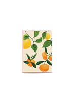 Pen + Pillar Mini Flat Citrus Card - 8pk