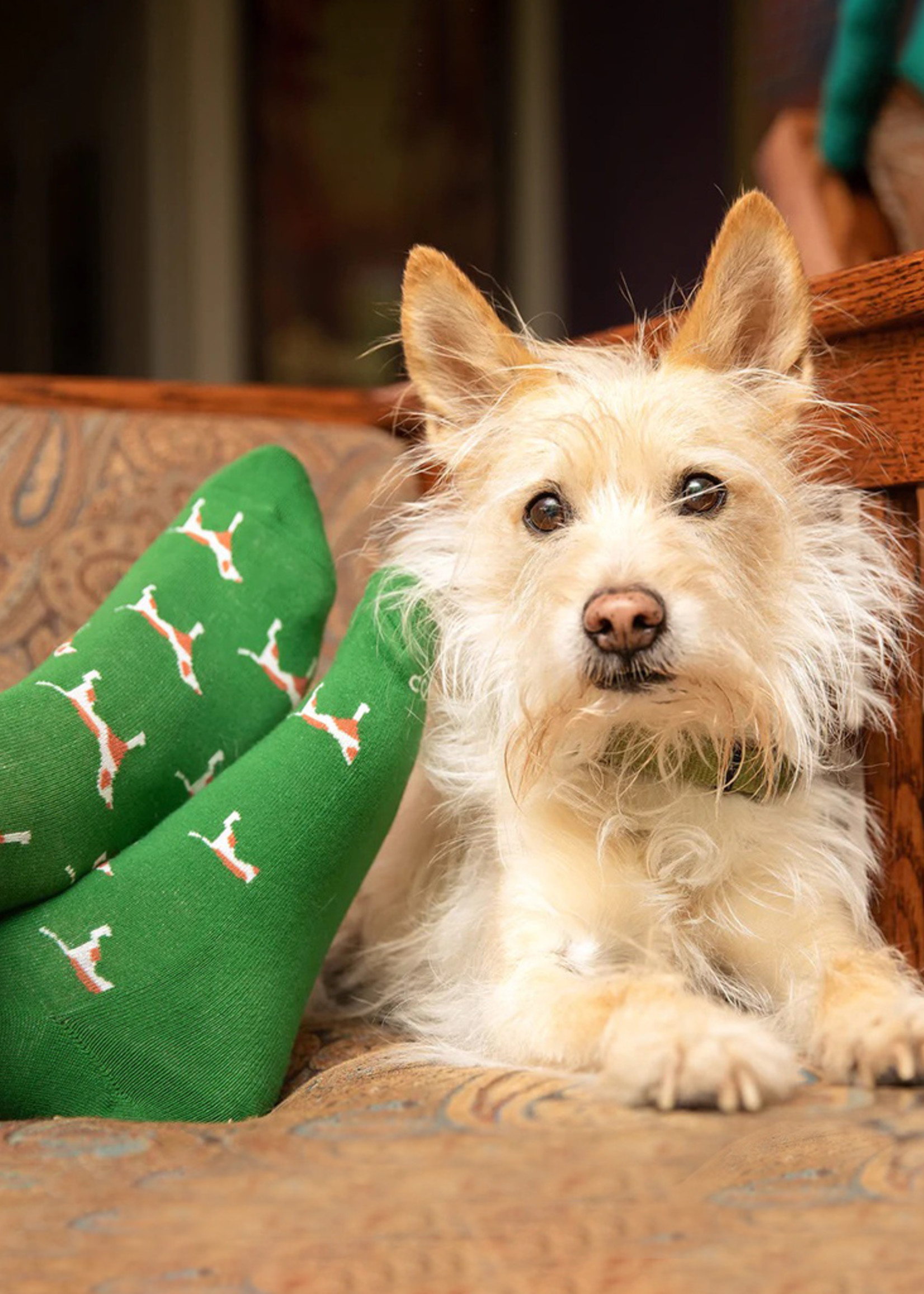 Conscious Step Women's Box Socks That Save Dogs [Black, Green, Red]