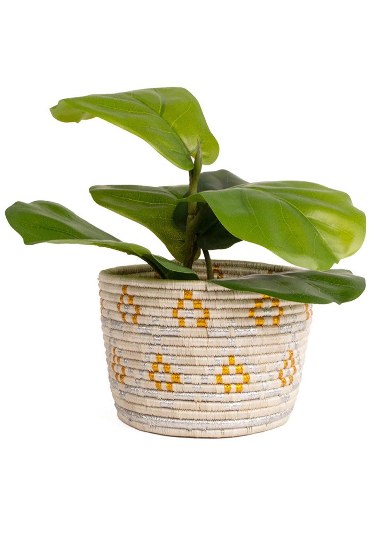 Kazi 7" White & Gold Planter