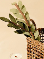 Global Goods Partners Felt Olive Branch Leaf