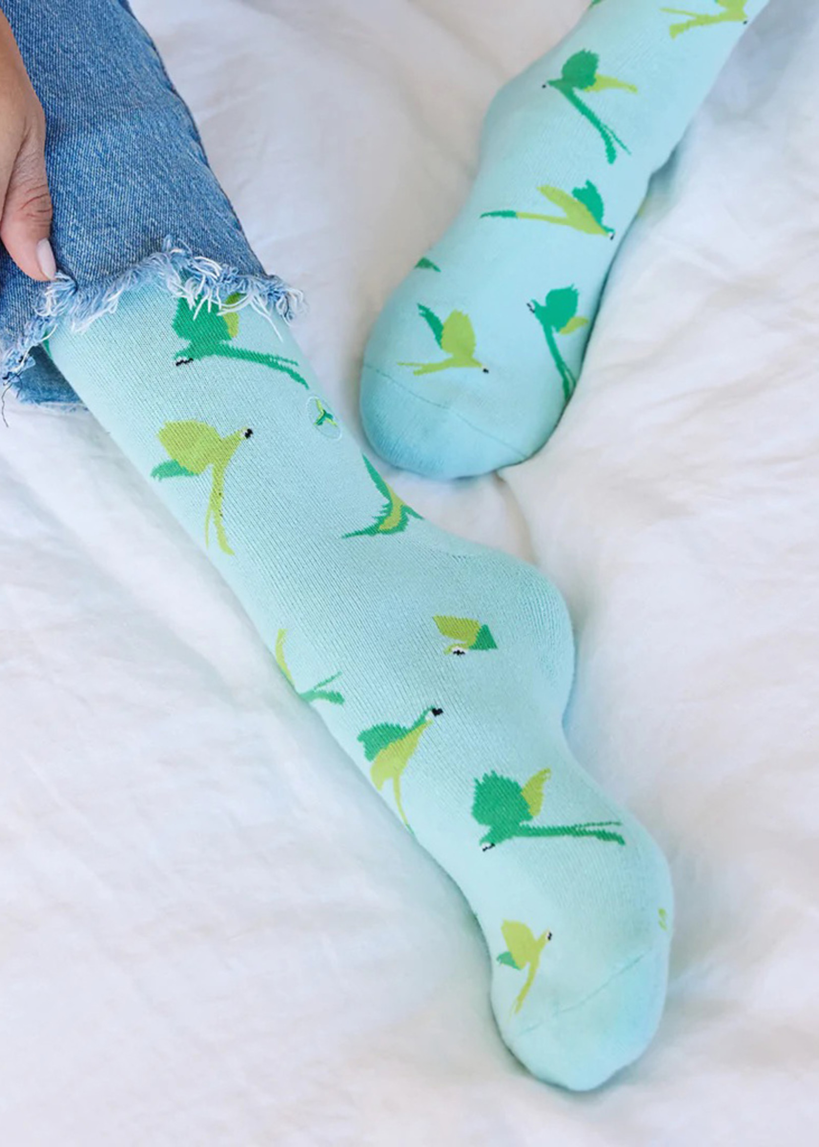 Conscious Step Men's Socks That Protect Macaws