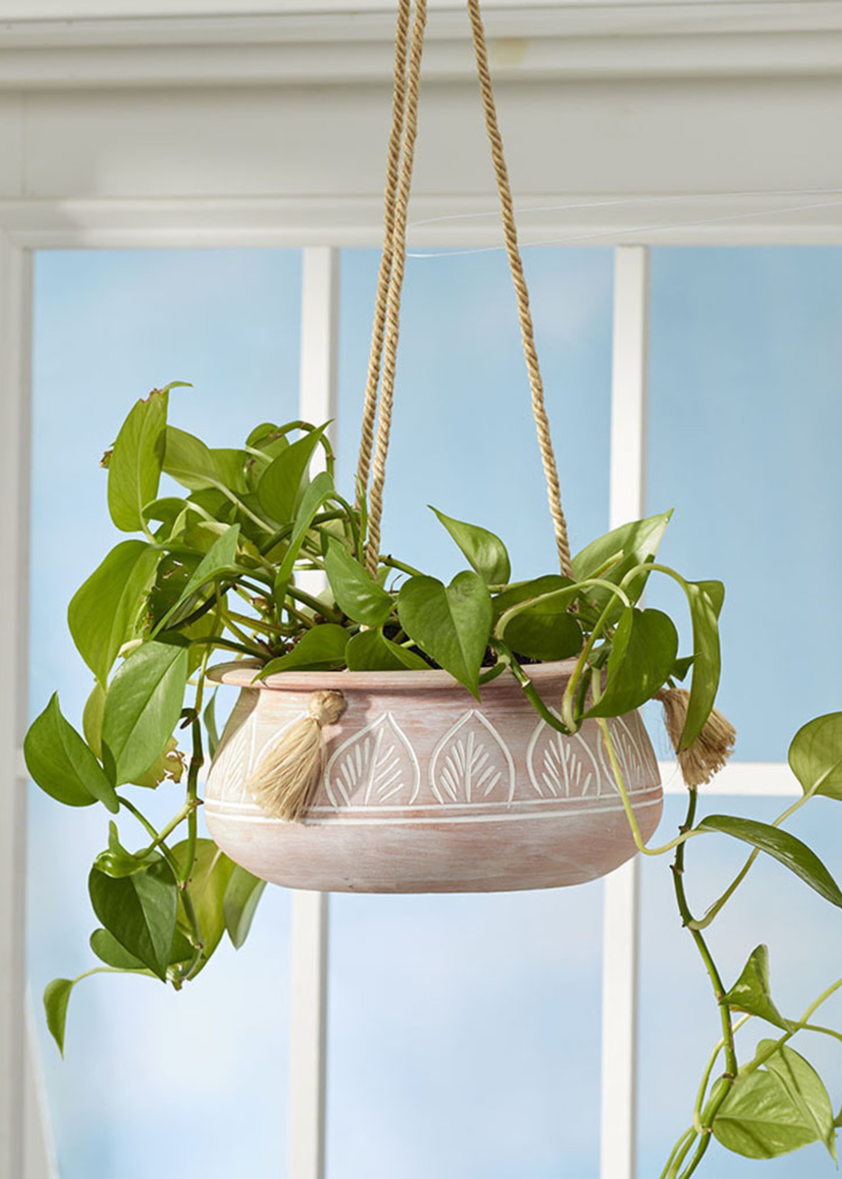 SERRV Papari Leaf Hanging Planter