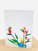 Growing Paper Bird of Paradise Growing Paper Card