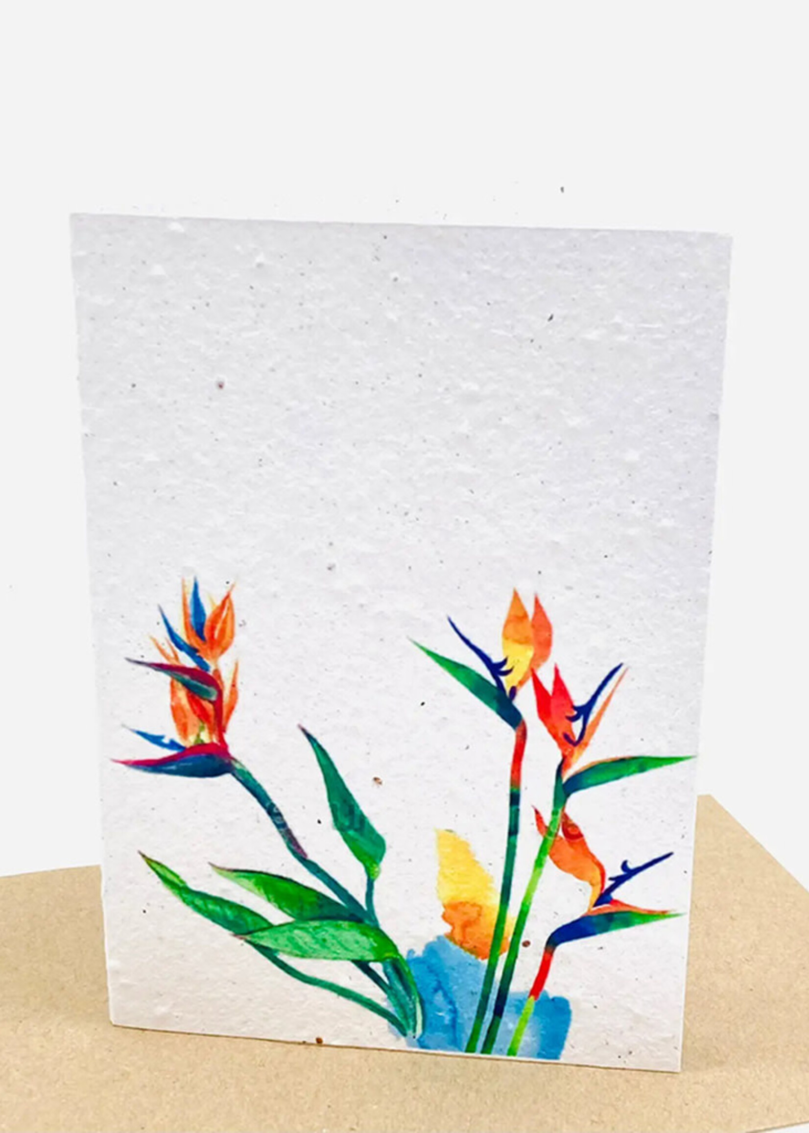 Growing Paper Bird of Paradise Growing Paper Card