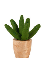 Ten Thousand Villages Mini Cotton Aloe Vera Plant