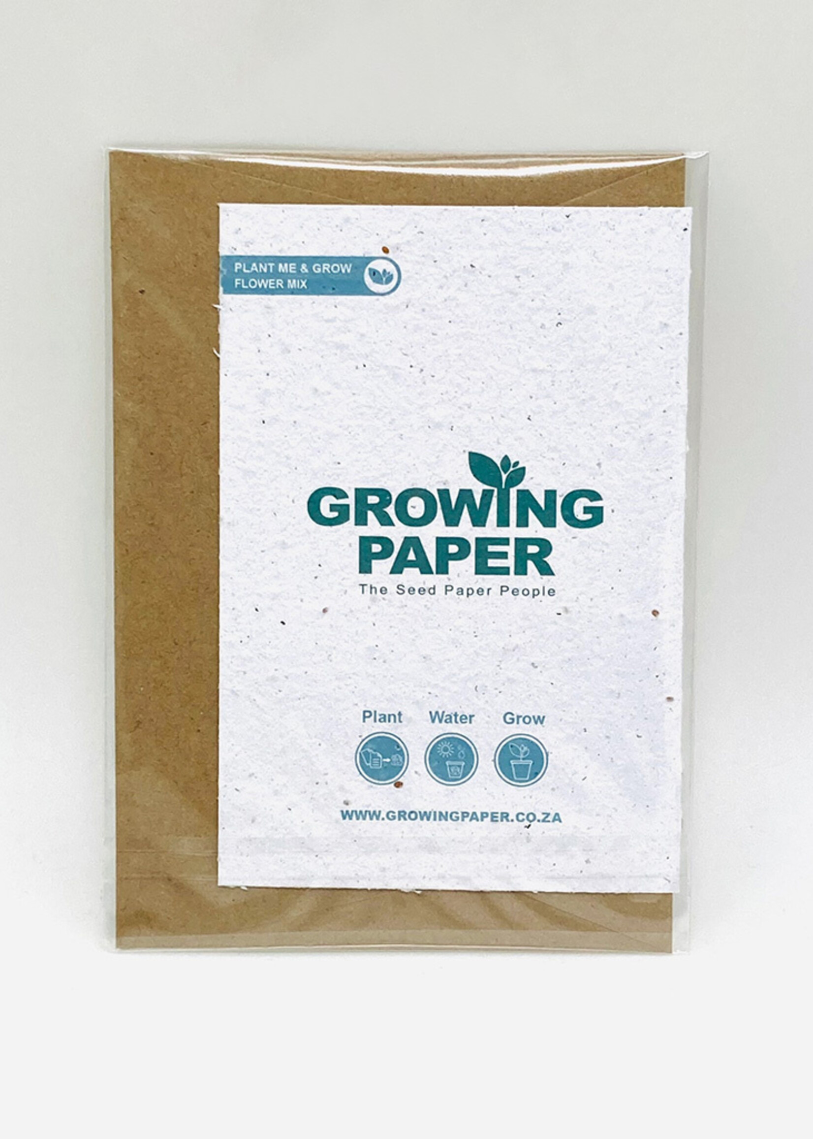 Growing Paper FINAL SALE - Cactus Growing Paper Card