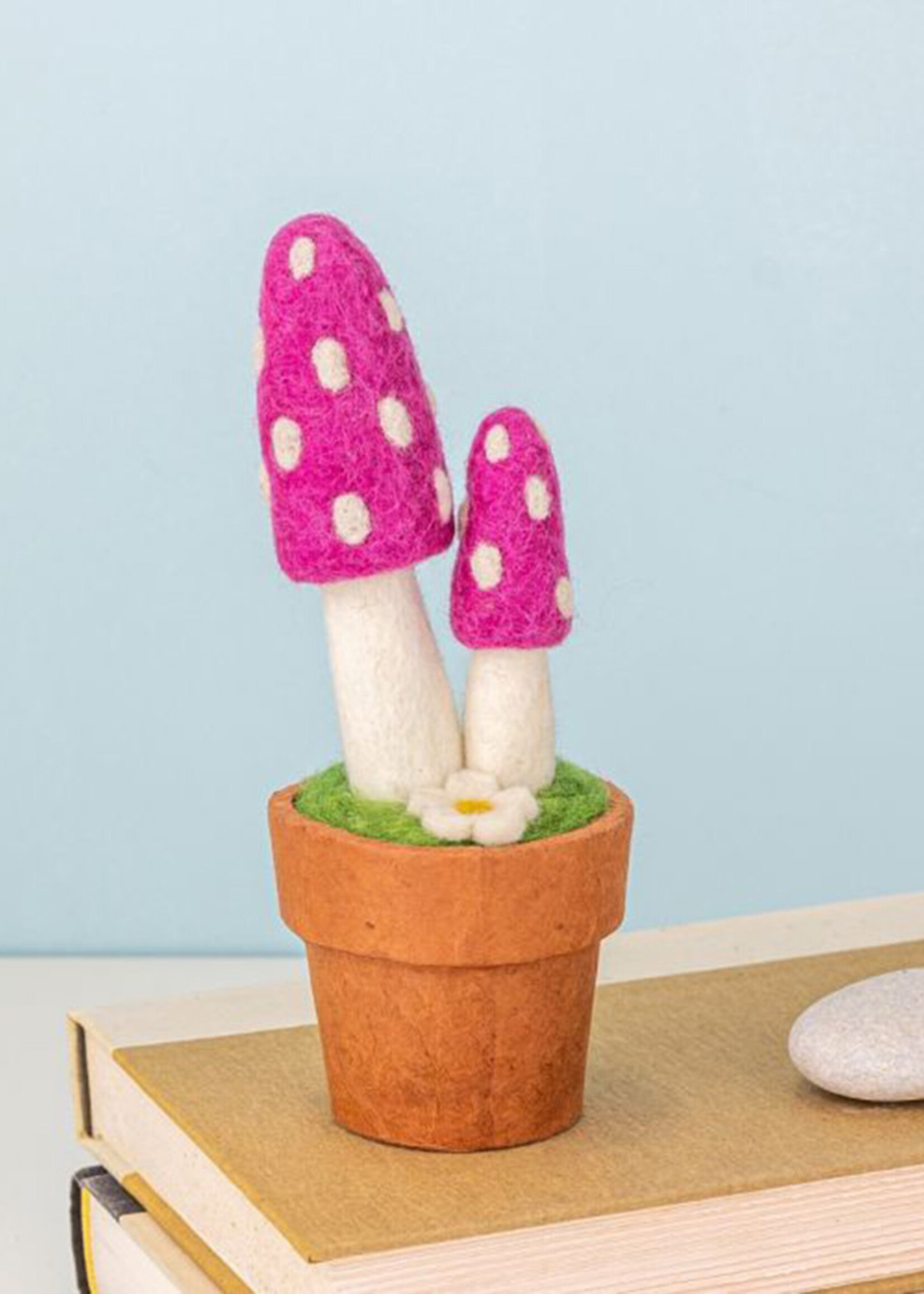 dZi Pink Pixie Mushroom Potted Plant