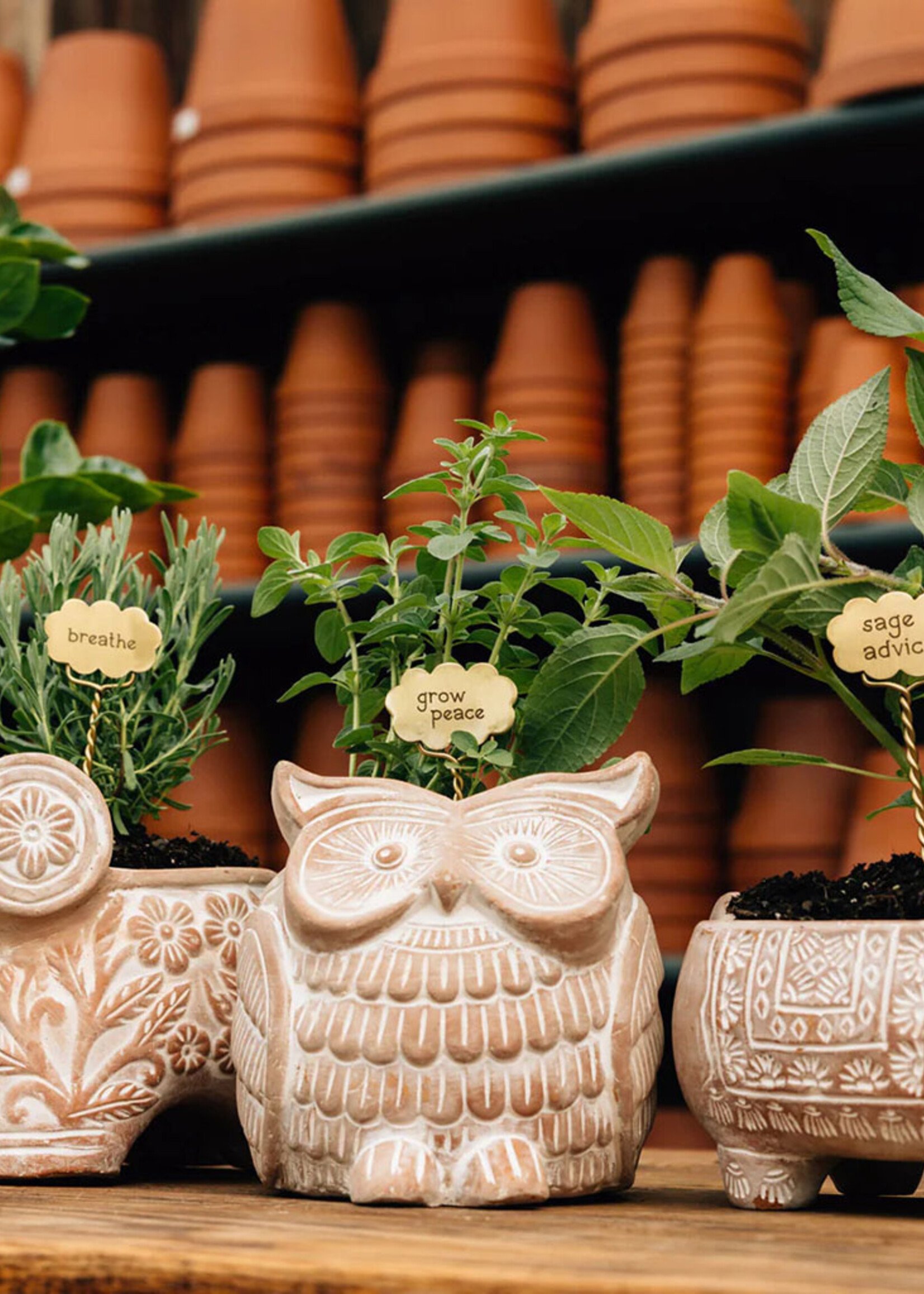 Ten Thousand Villages Owl Planter