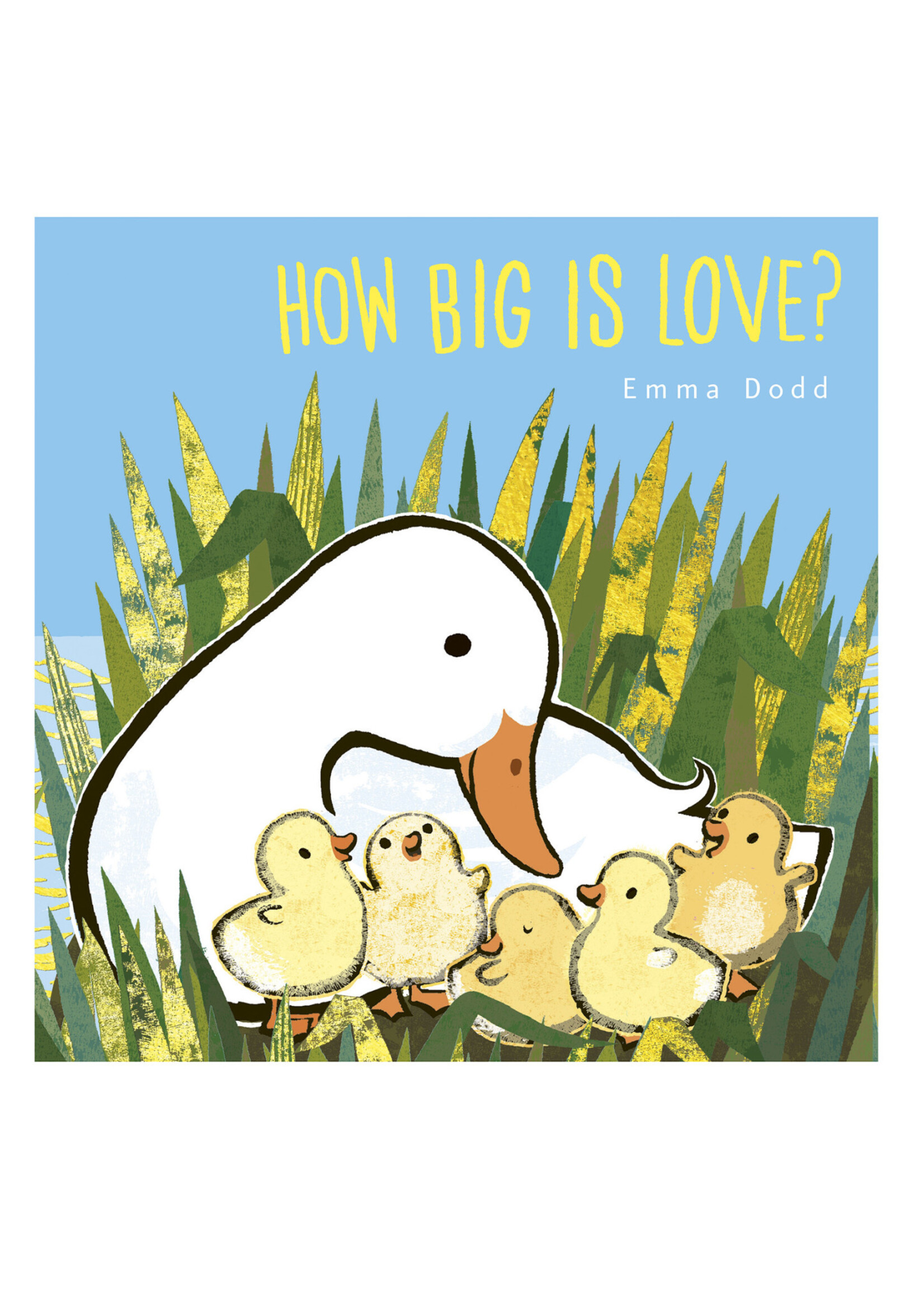 How Big Is Love? Book