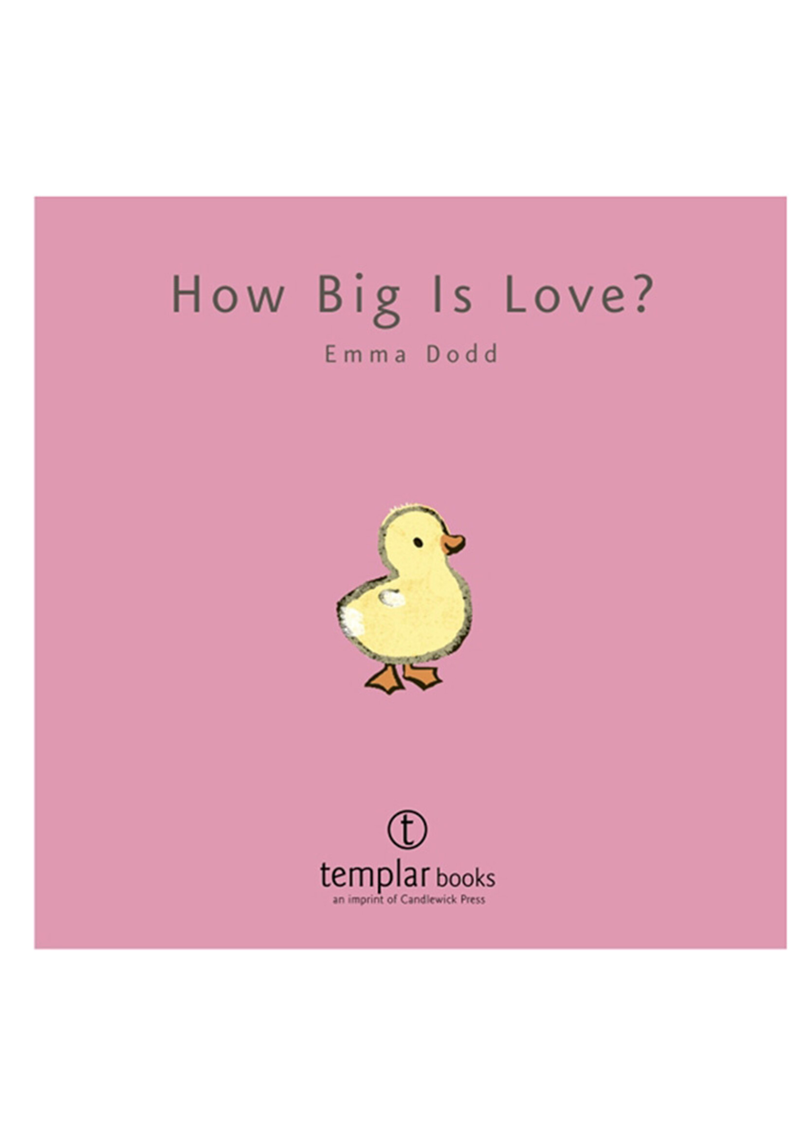 How Big Is Love? Book