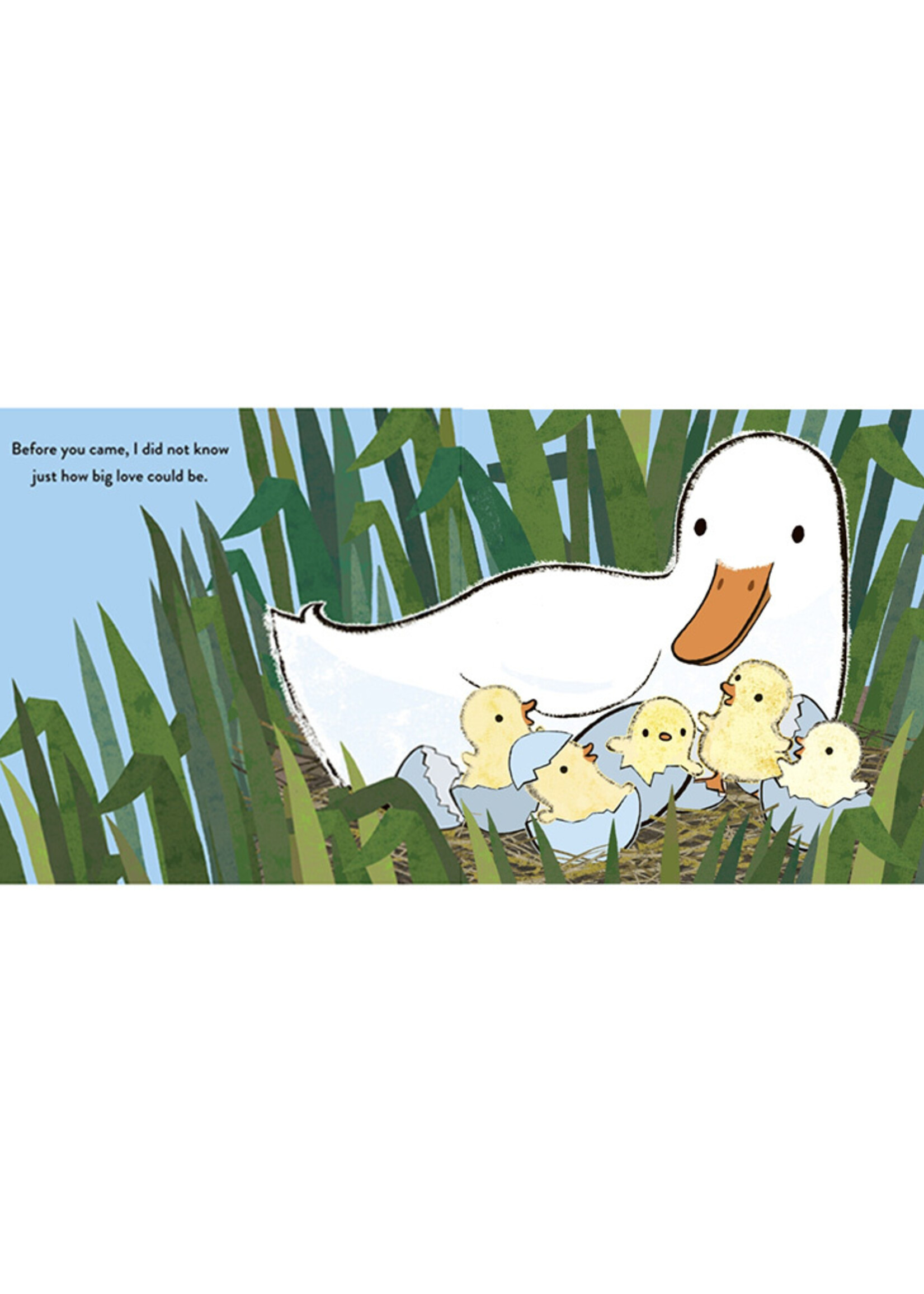 How Big Is Love? Book