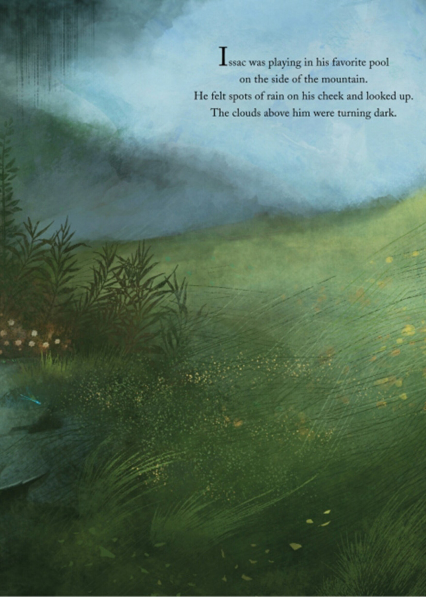 The Rhythm of the Rain Book