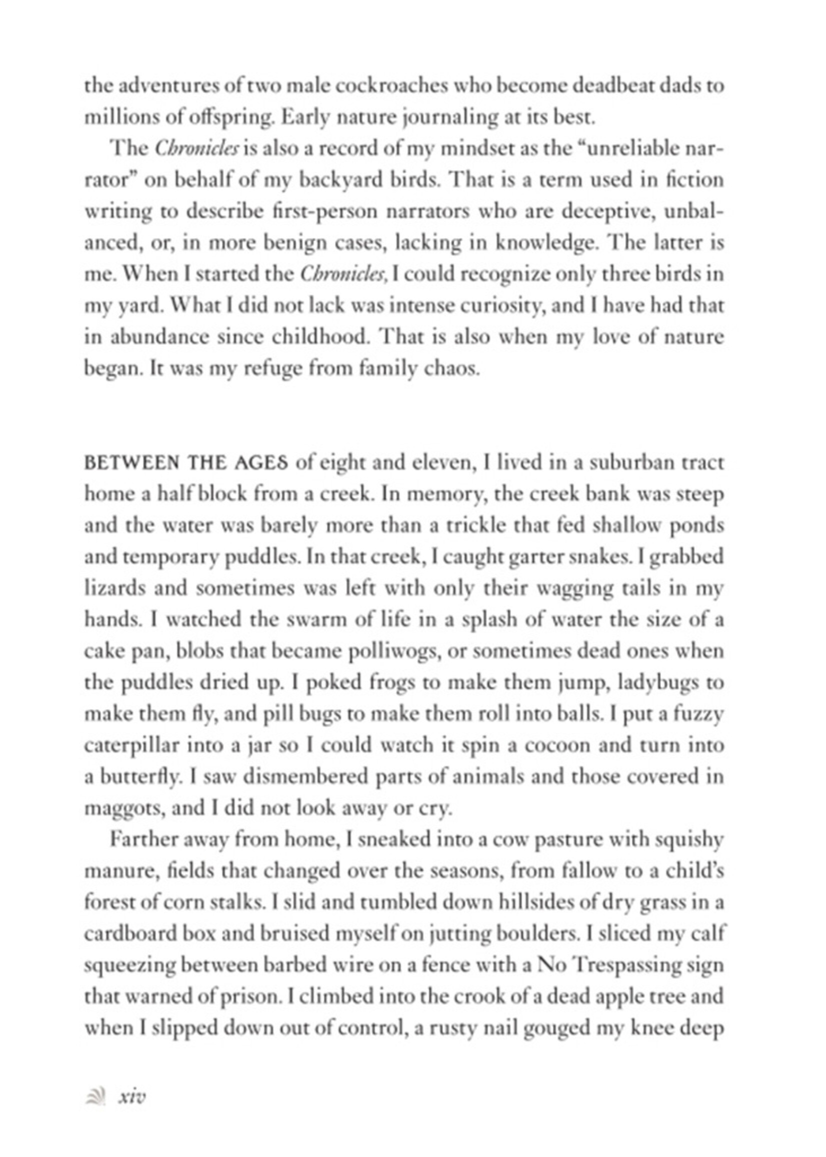 The Backyard Bird Chronicles Book