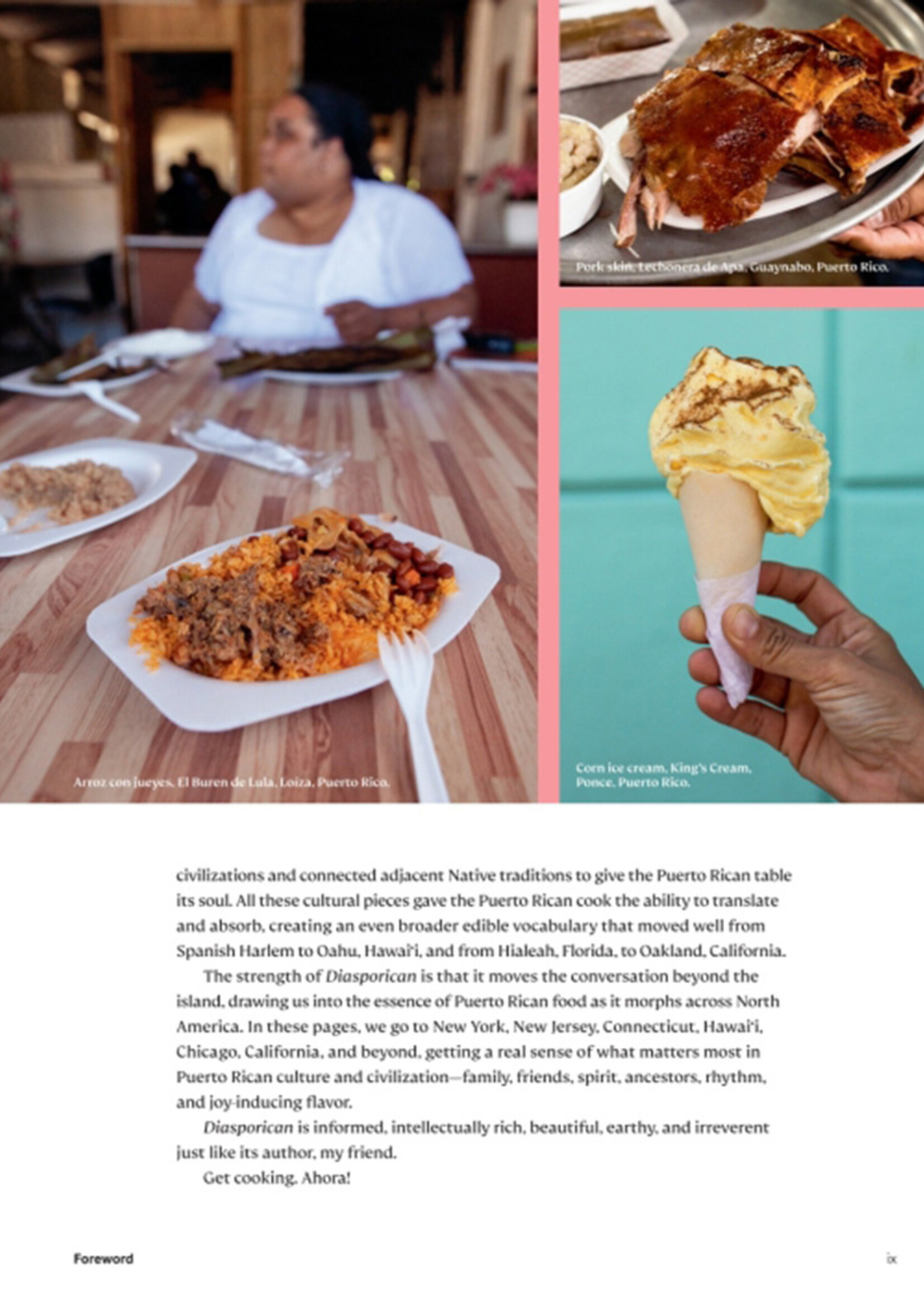Diasporican Cookbook