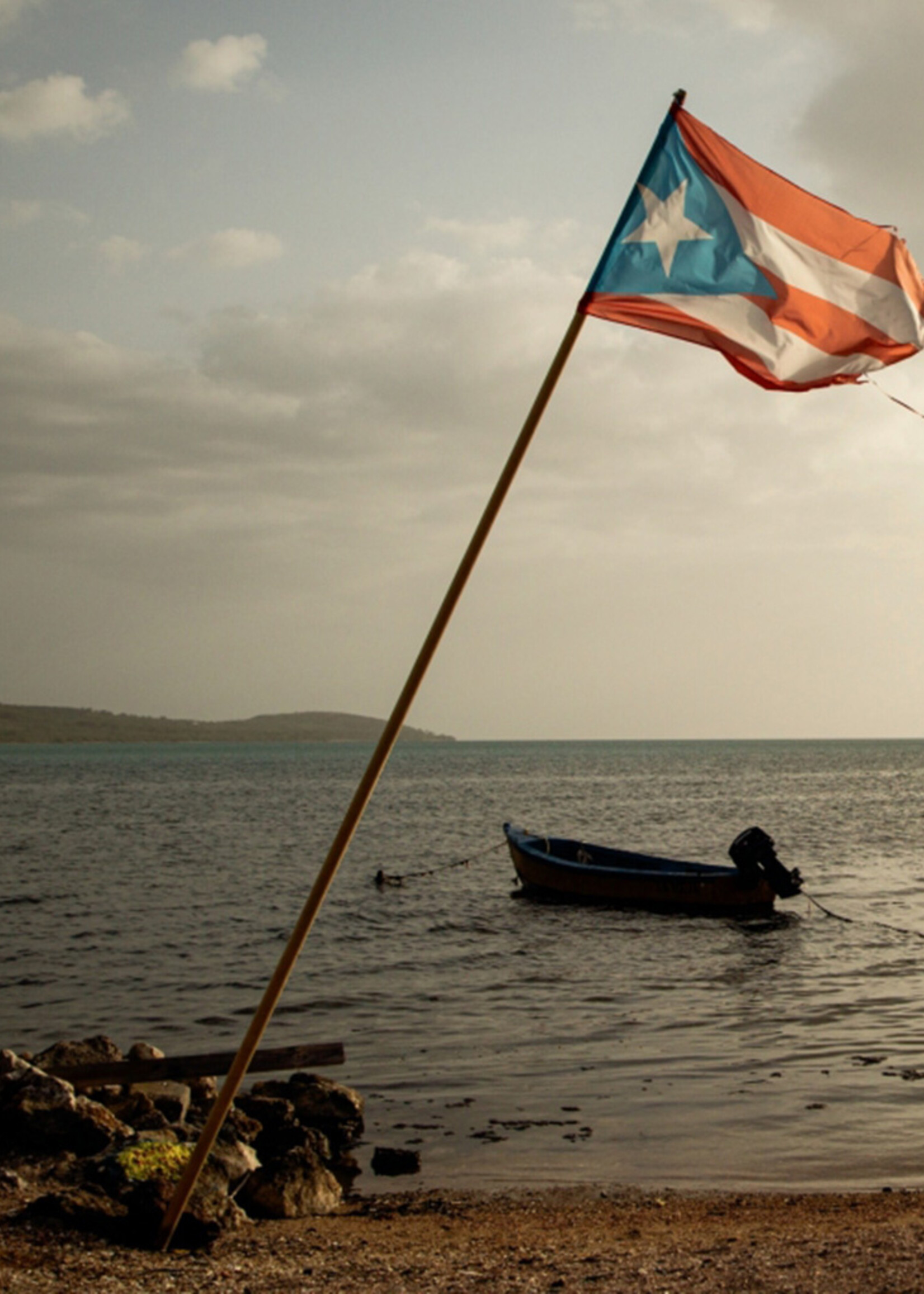 Diasporican Cookbook