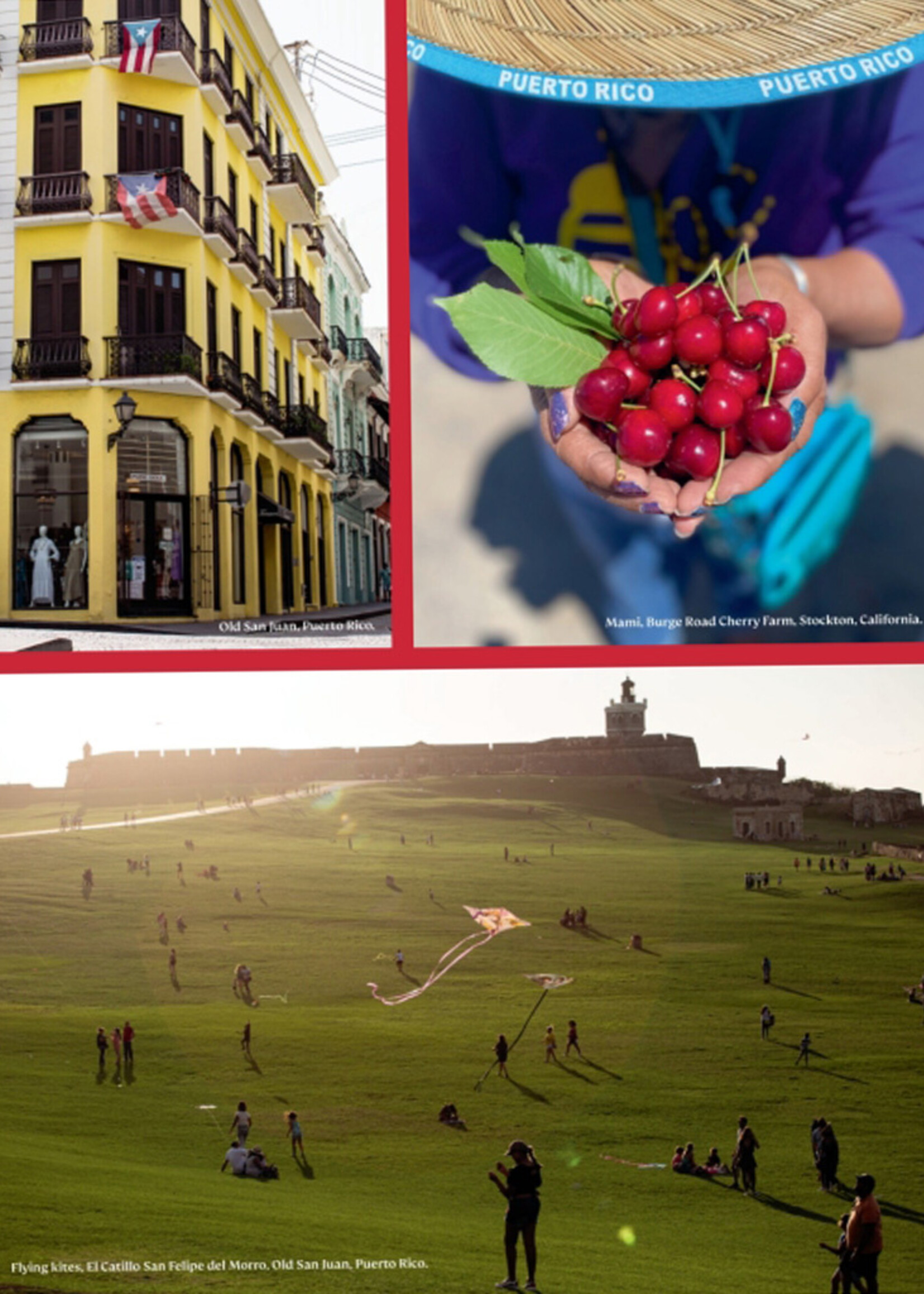 Diasporican Cookbook