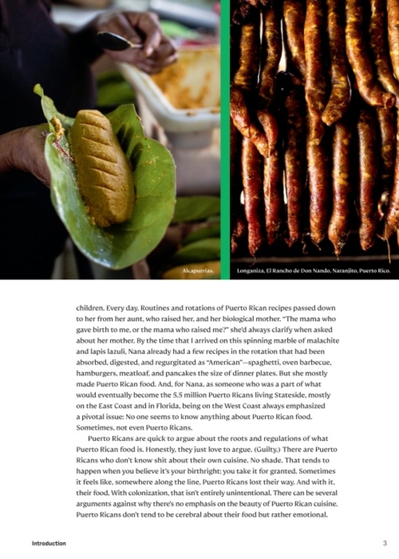 Diasporican Cookbook
