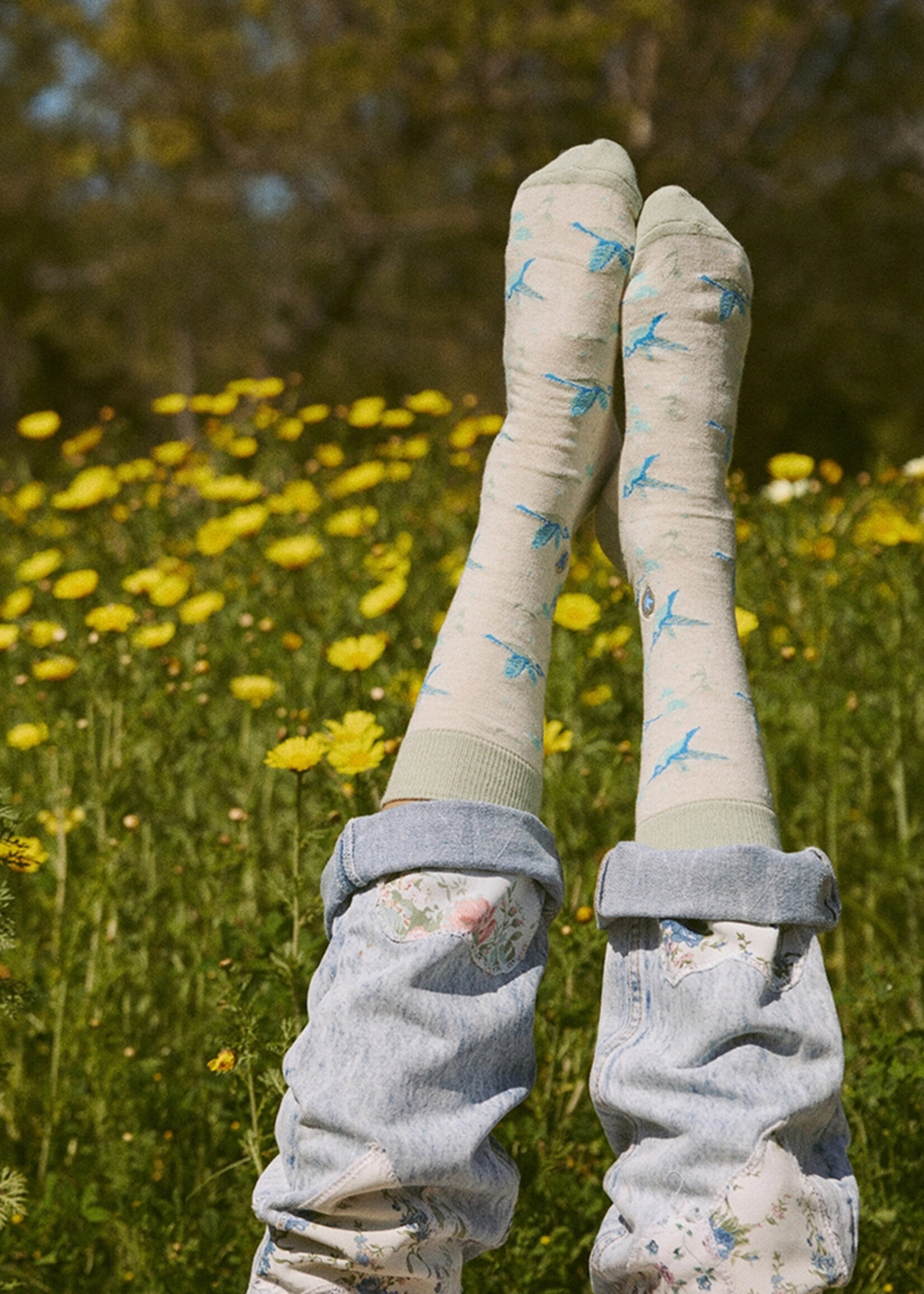 Conscious Step Men's Hummingbird Socks - Protect Pollinators