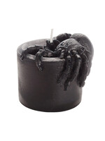 Big Dipper Waxs Works FINAL SALE - Black Spider Beeswax Candle