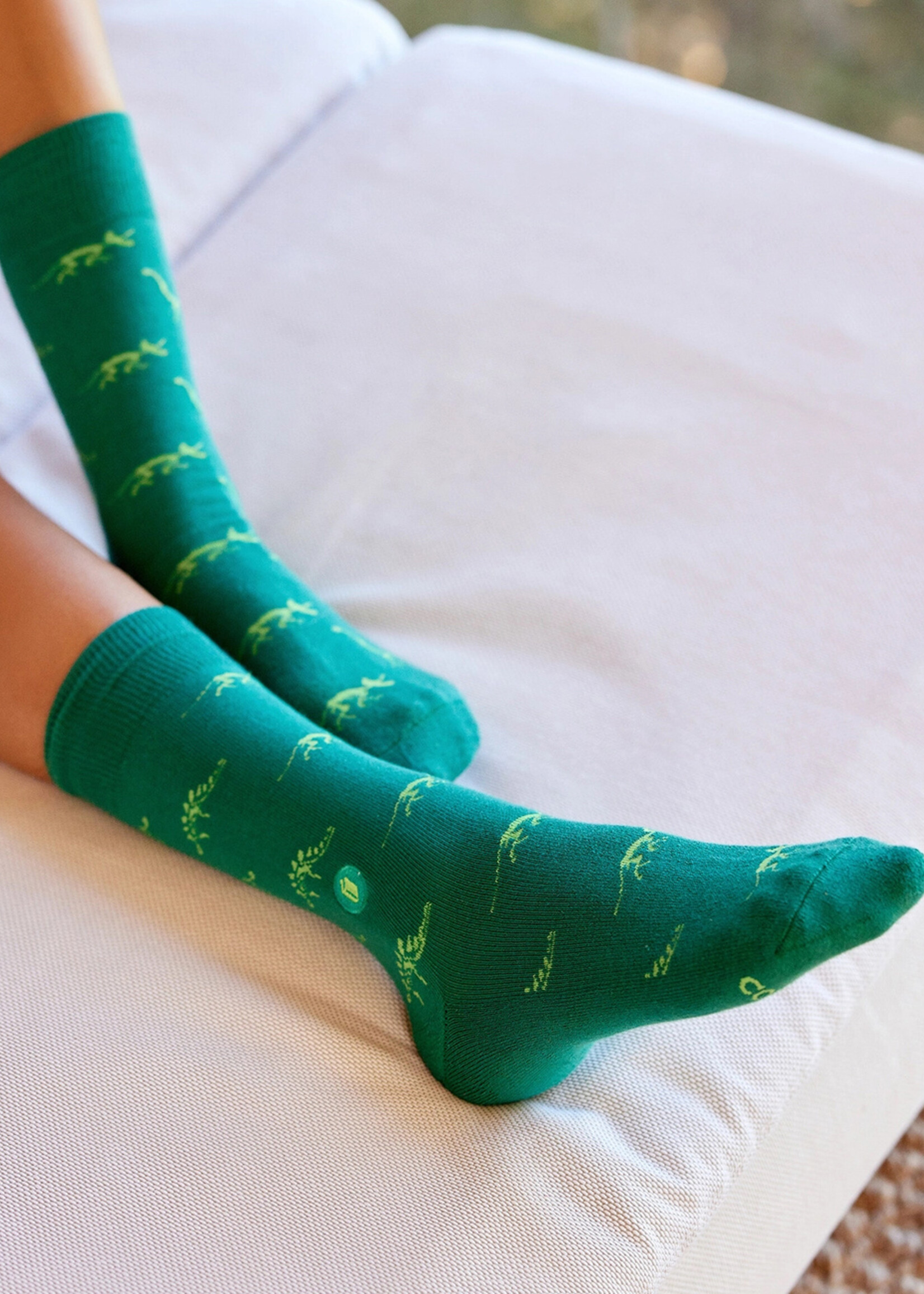 Conscious Step Men's Green Dinosaurs that Give Book