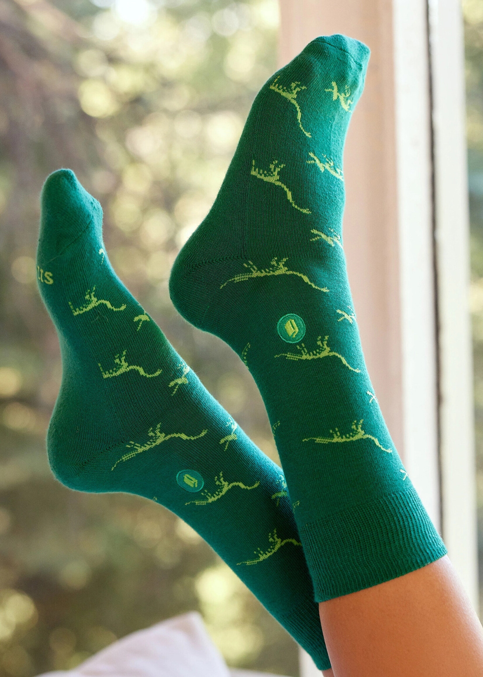 Conscious Step Men's Green Dinosaurs that Give Book