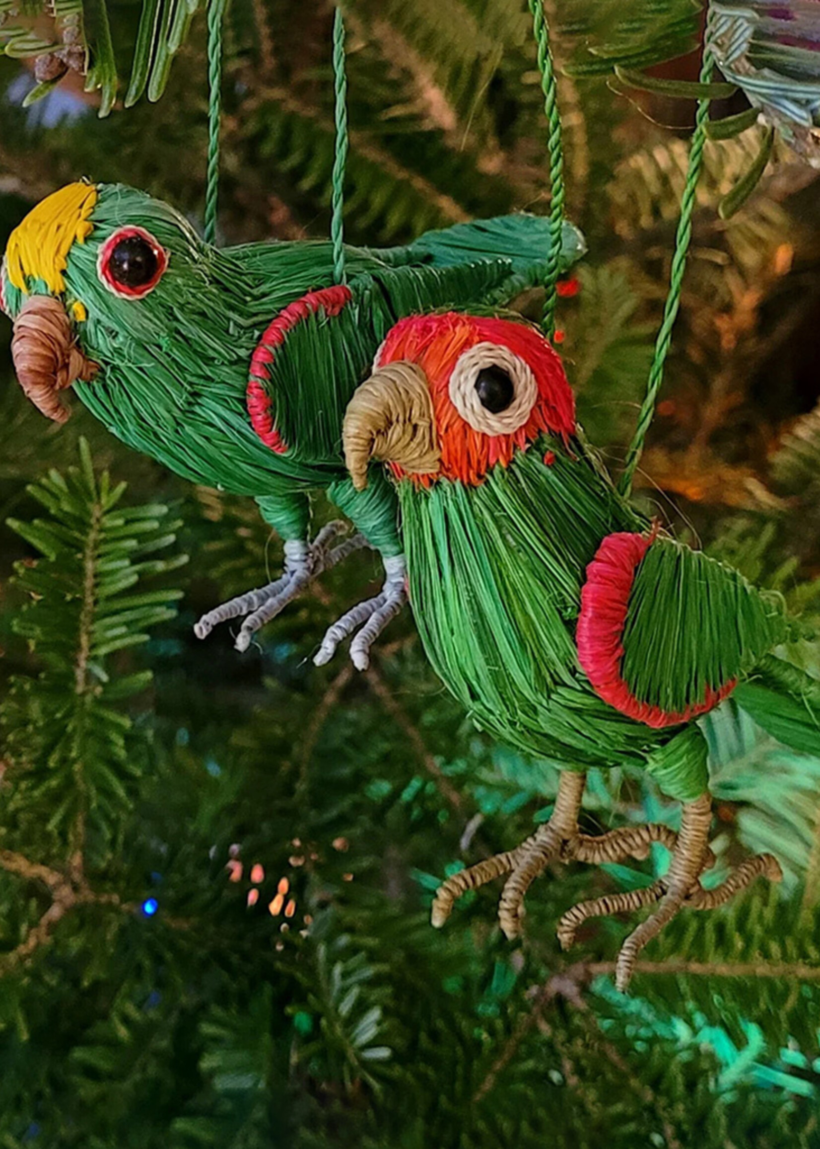 Amazon Ecology Cherry Headed Conure Ornament