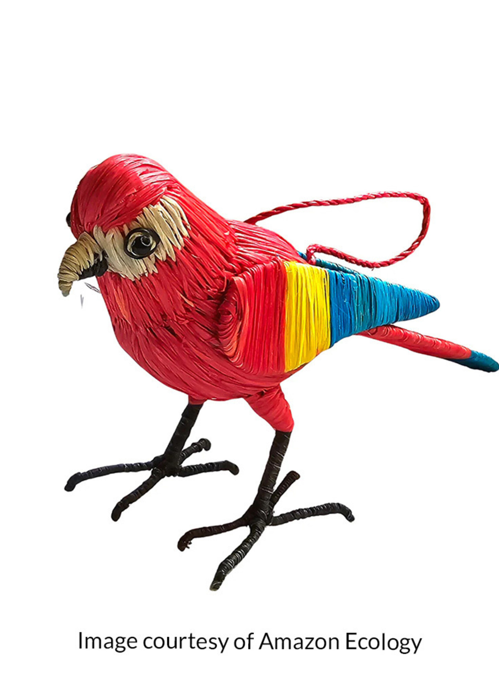 Amazon Ecology Scarlet Macaw Ornament
