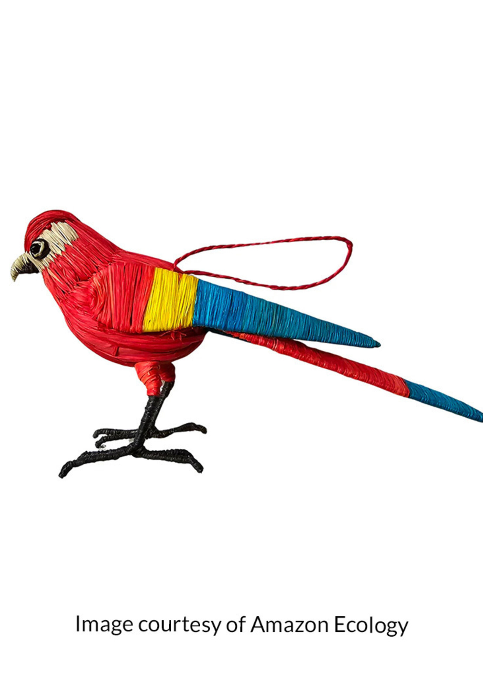 Amazon Ecology Scarlet Macaw Ornament