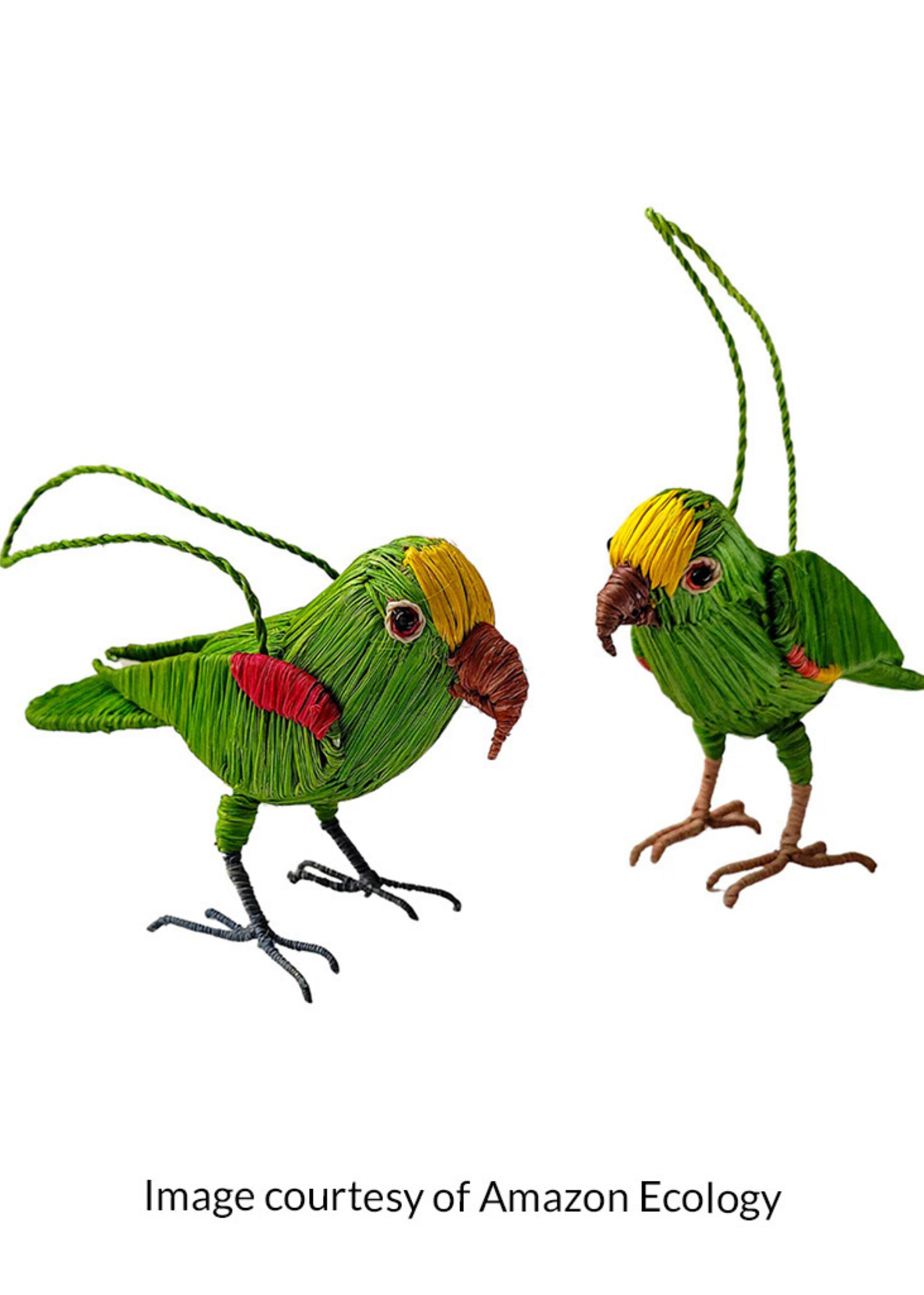 Amazon Ecology Yellow Crowned Parrot Ornament