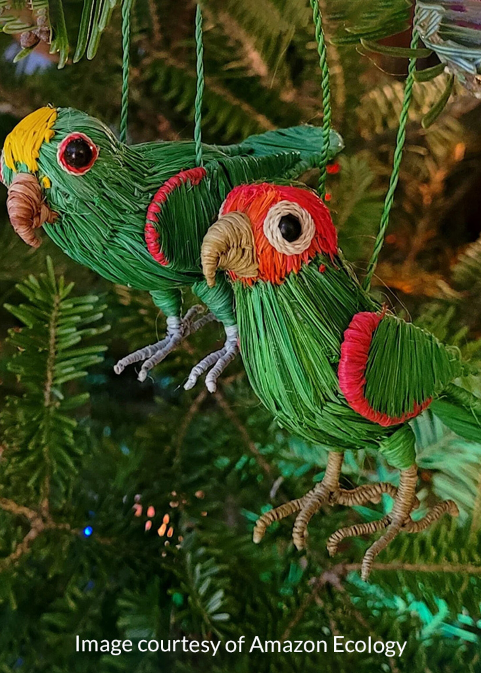 Amazon Ecology Yellow Crowned Parrot Ornament