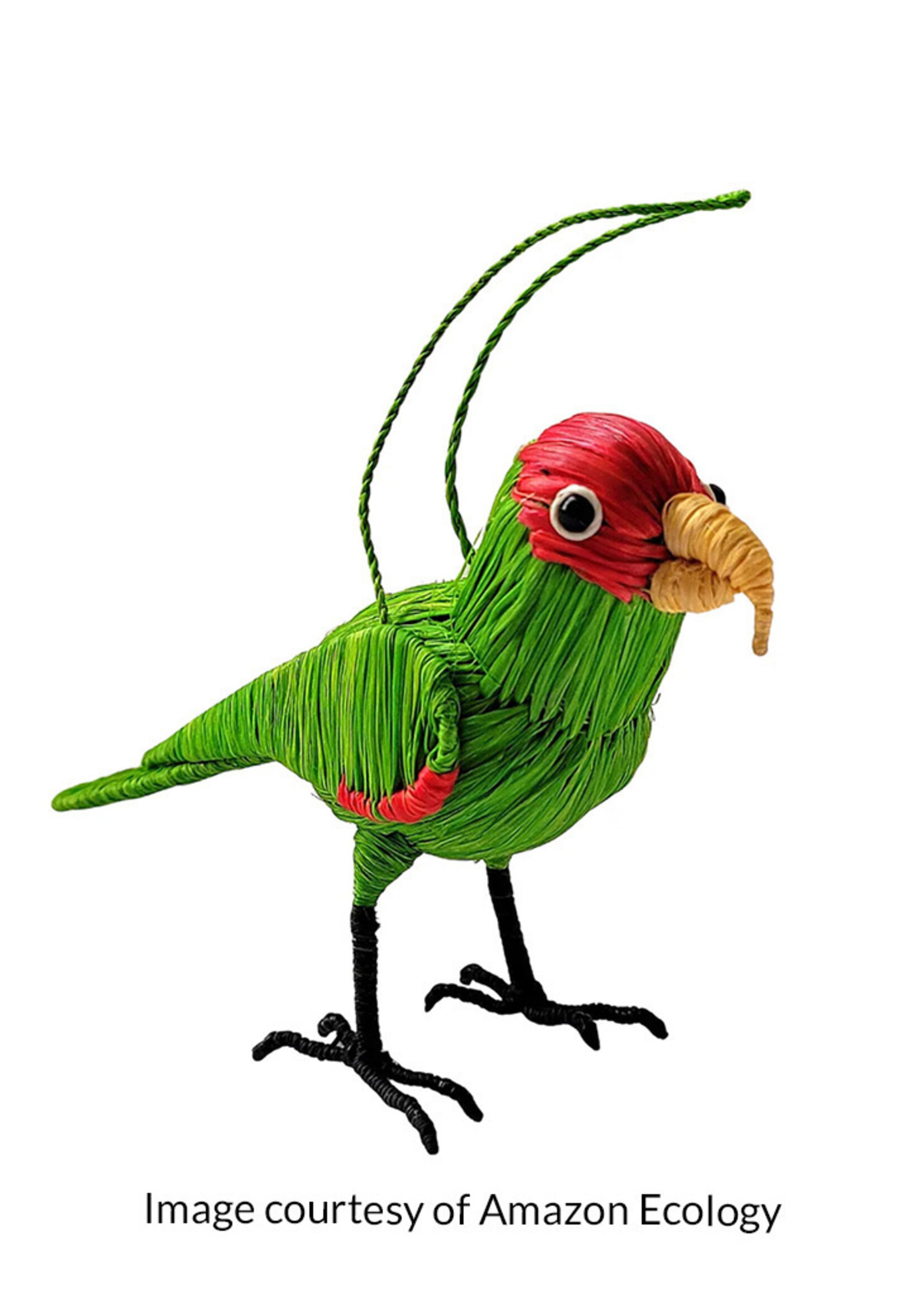 Amazon Ecology Cherry Headed Conure Ornament
