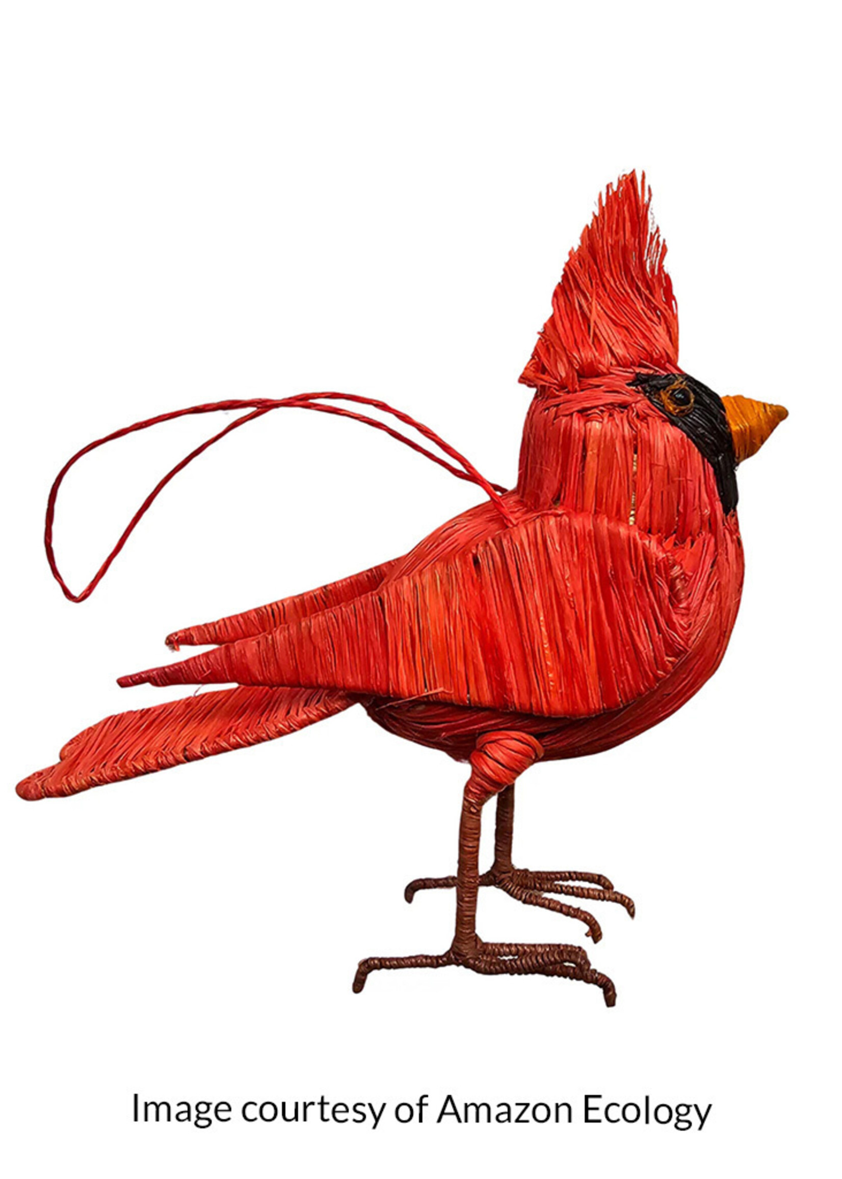 Amazon Ecology Cardinal Ornament