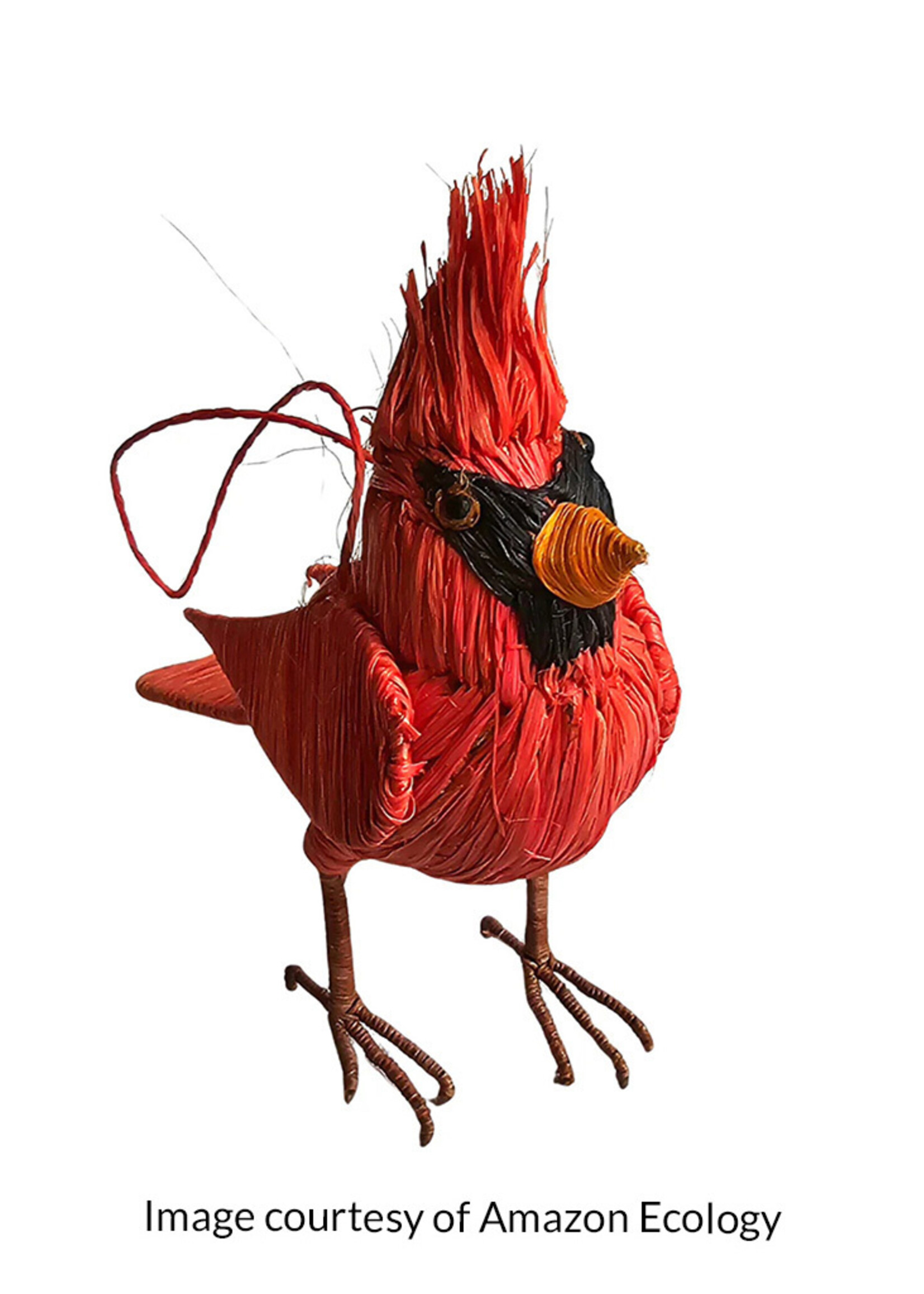 Amazon Ecology Cardinal Ornament