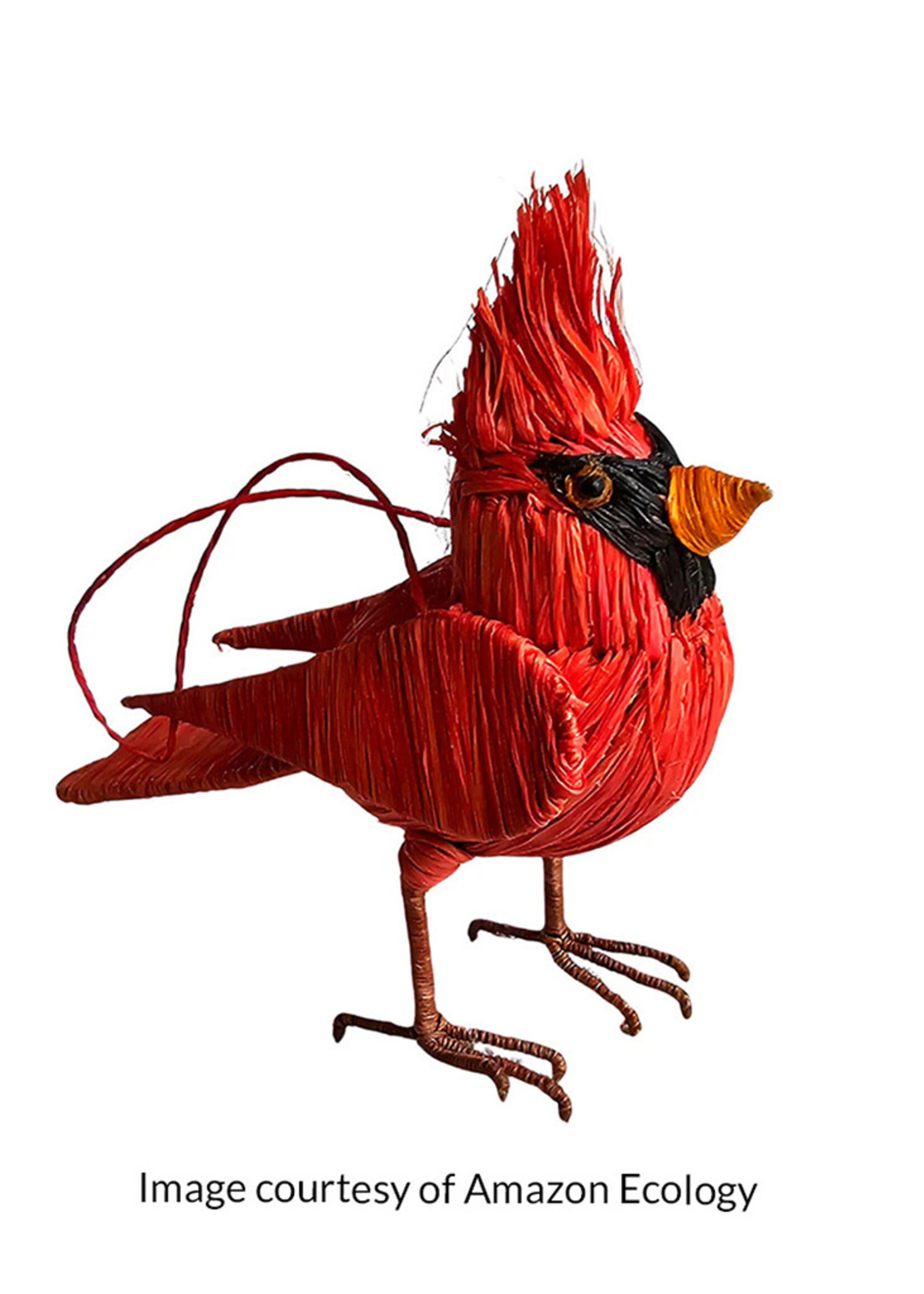 Amazon Ecology Cardinal Ornament