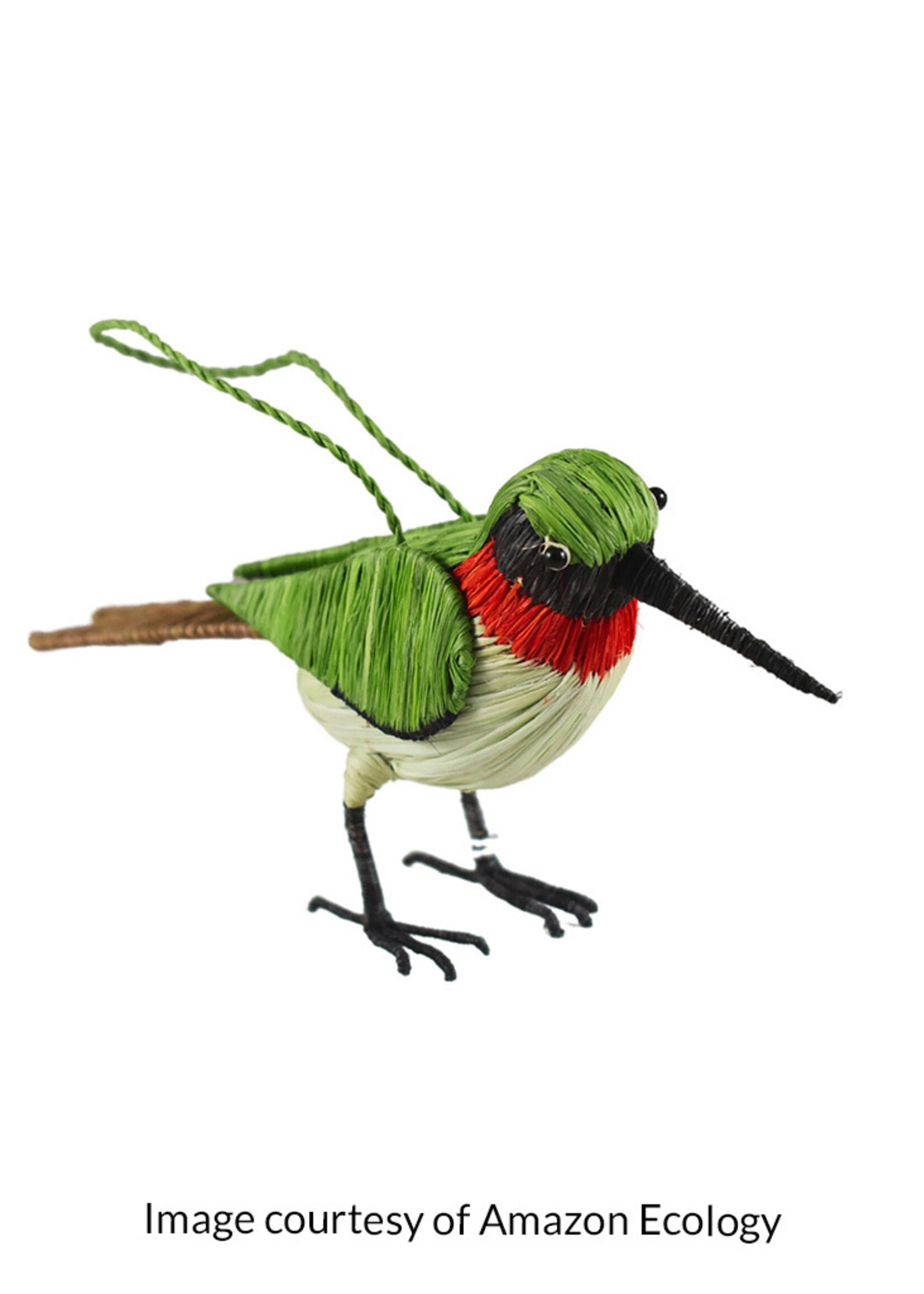 Amazon Ecology Ruby-Throated Hummingbird Ornament