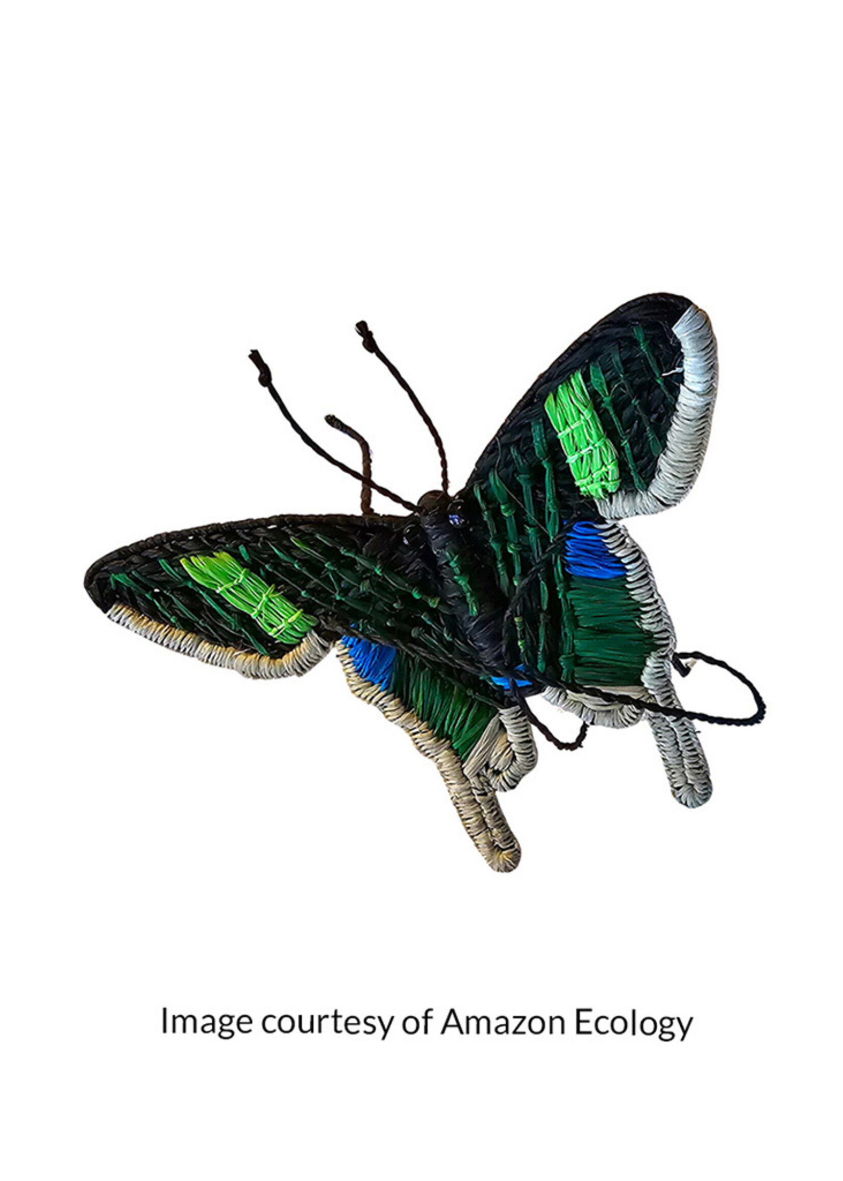 Amazon Ecology Urania Butterfly Ornament