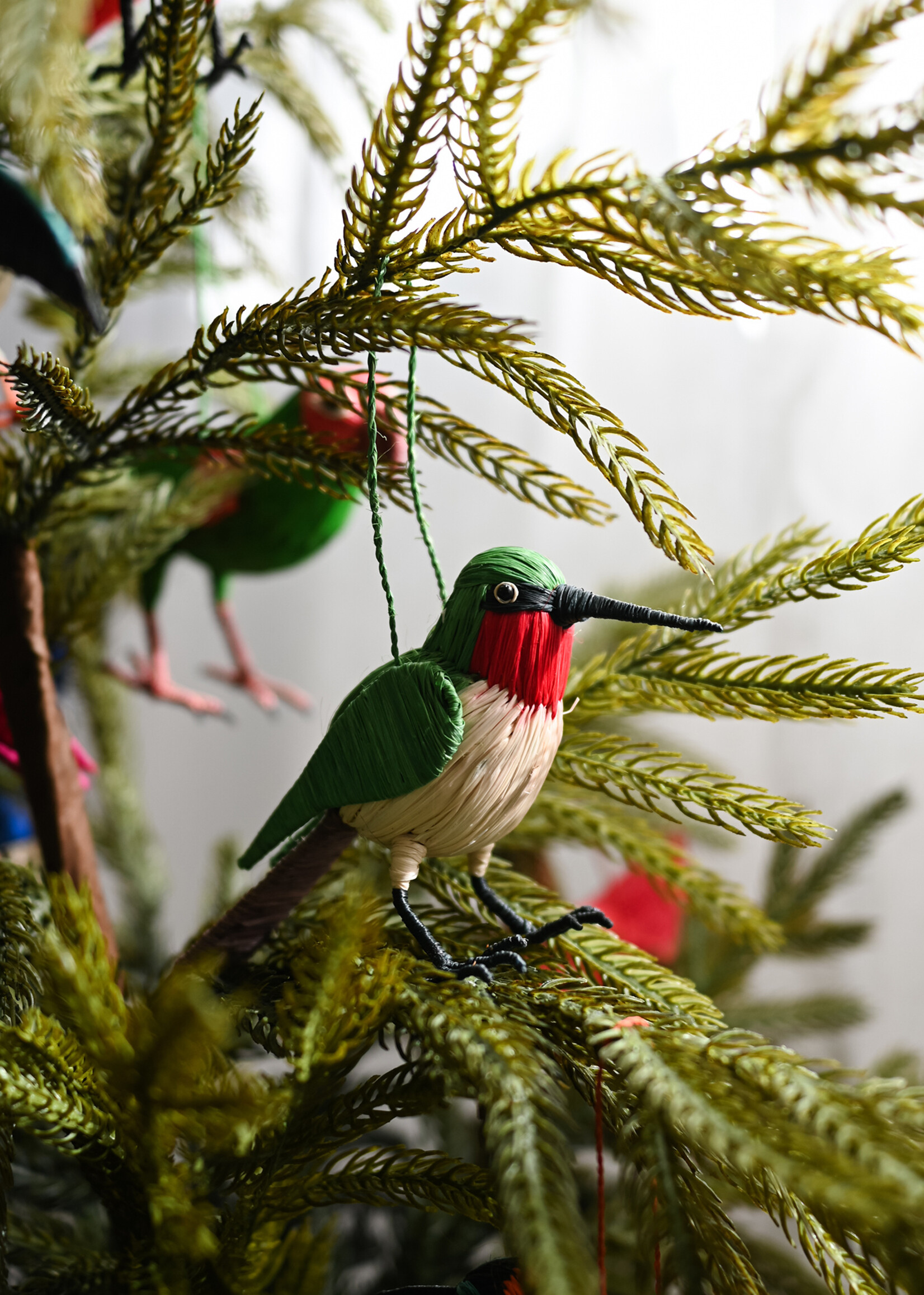 Amazon Ecology Ruby-Throated Hummingbird Ornament