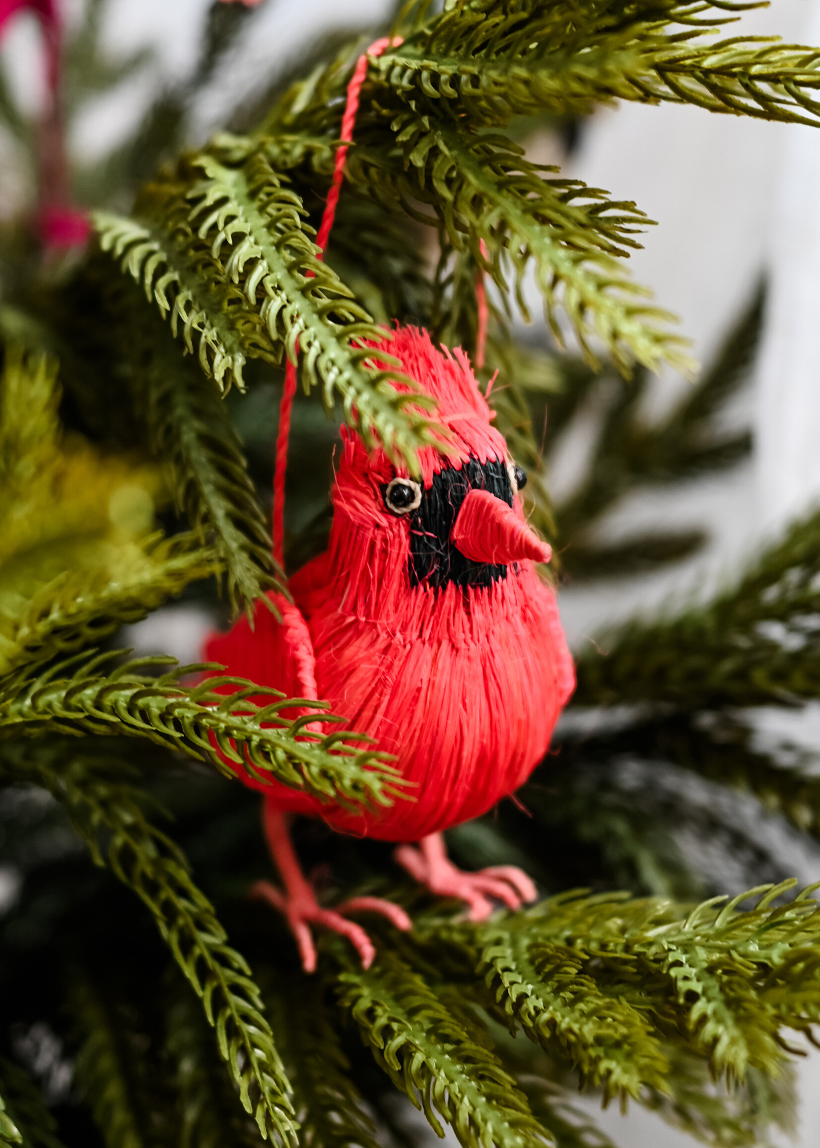 Amazon Ecology Cardinal Ornament