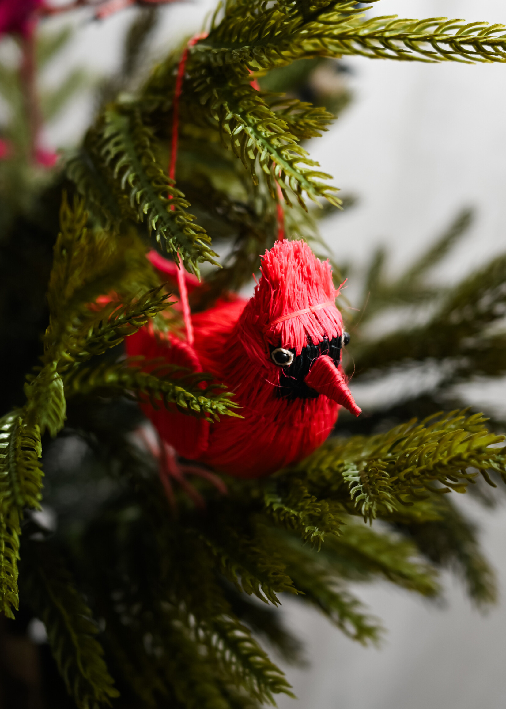 Amazon Ecology Cardinal Ornament