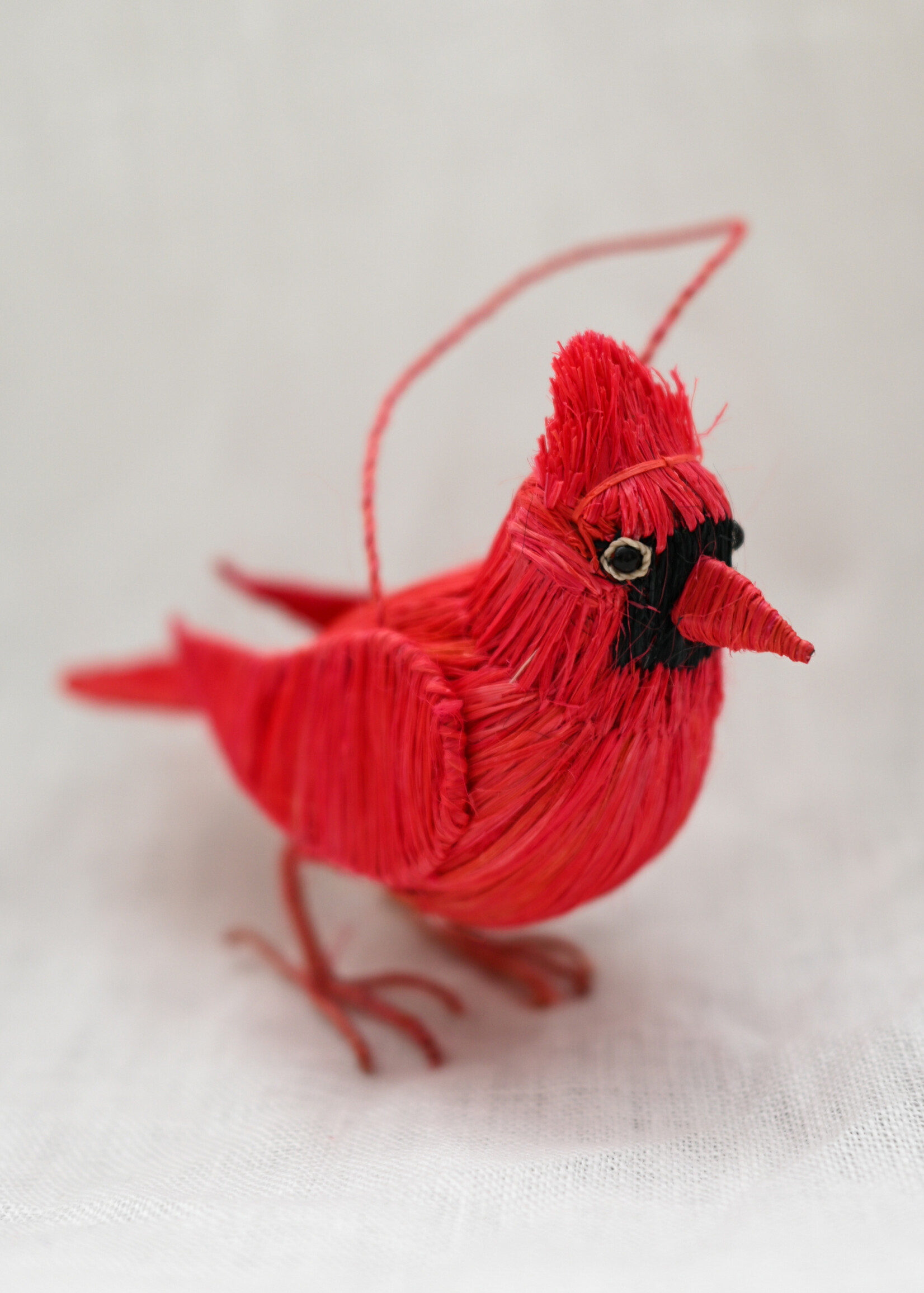 Amazon Ecology Cardinal Ornament