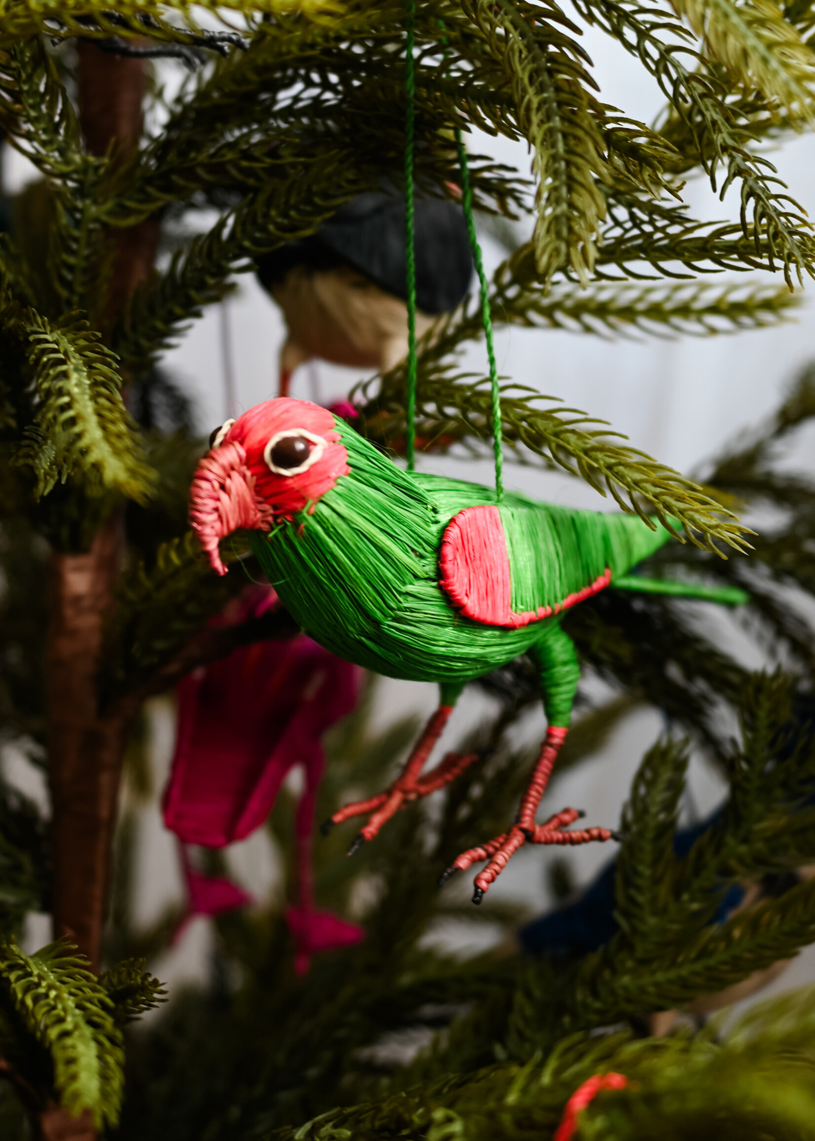 Amazon Ecology Cherry Headed Conure Ornament