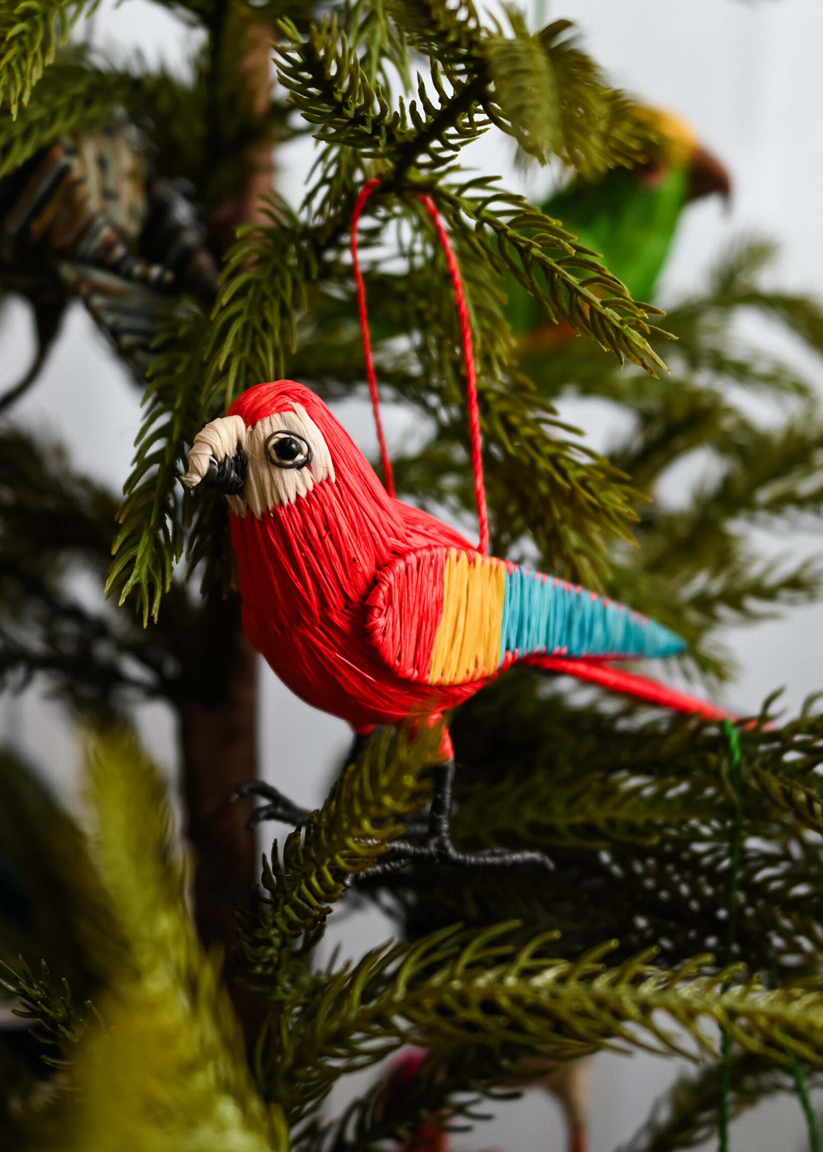 Amazon Ecology Scarlet Macaw Ornament